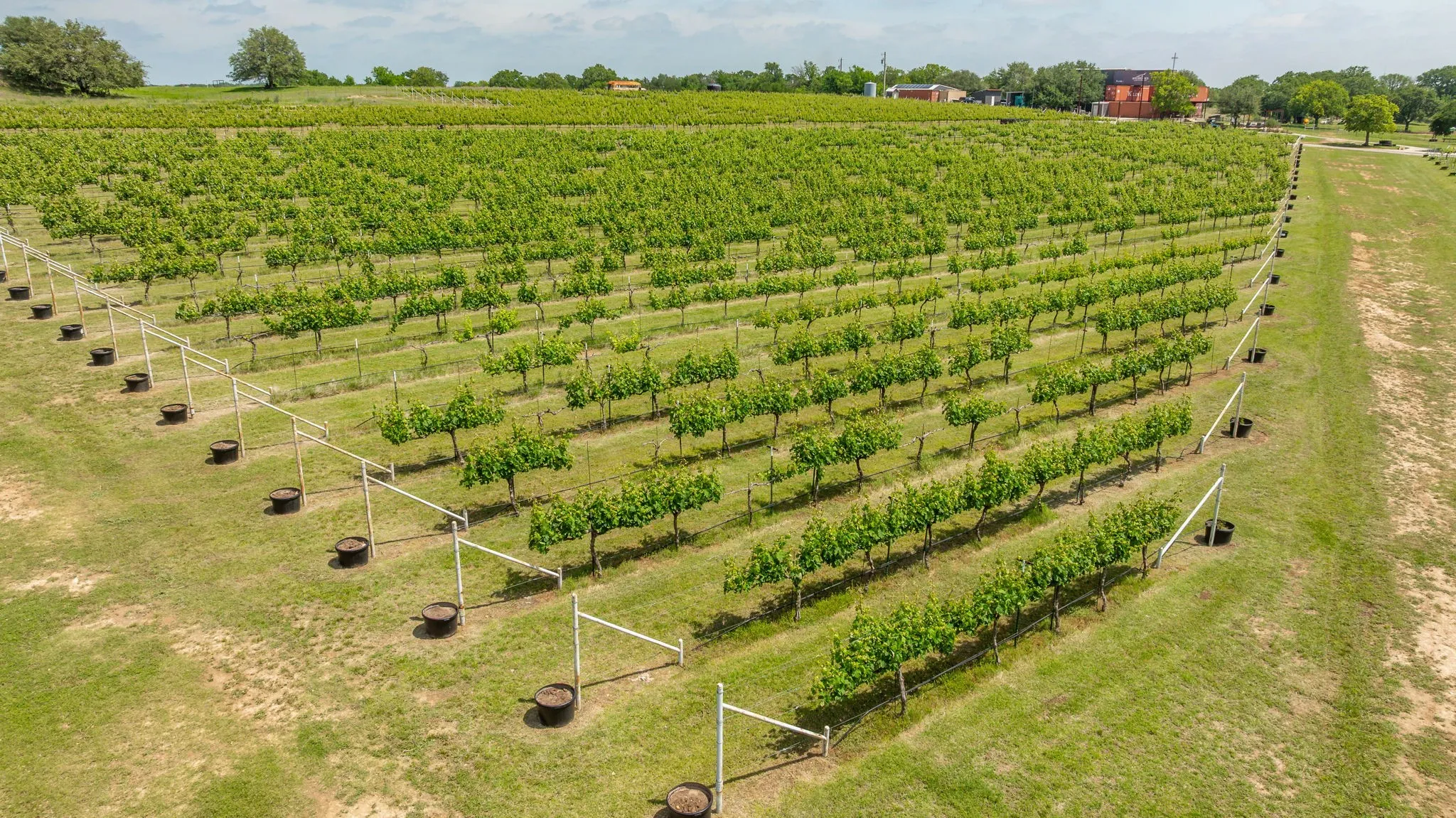 Improved Land For Sale in Erath County , 675 County Road 497 A, Dublin, Texas 76446, 0, 0, Garage spaces, 0 Sqft, built in 2018, mls#21390350, Real Estate Agent in Dublin, Homes For Sale in Erath county, Homes For Sale in Dublin, Realtor in Dublin Texas, Real Estate Brokerage Independent Realty Texas, Luminita Cordes Realtor