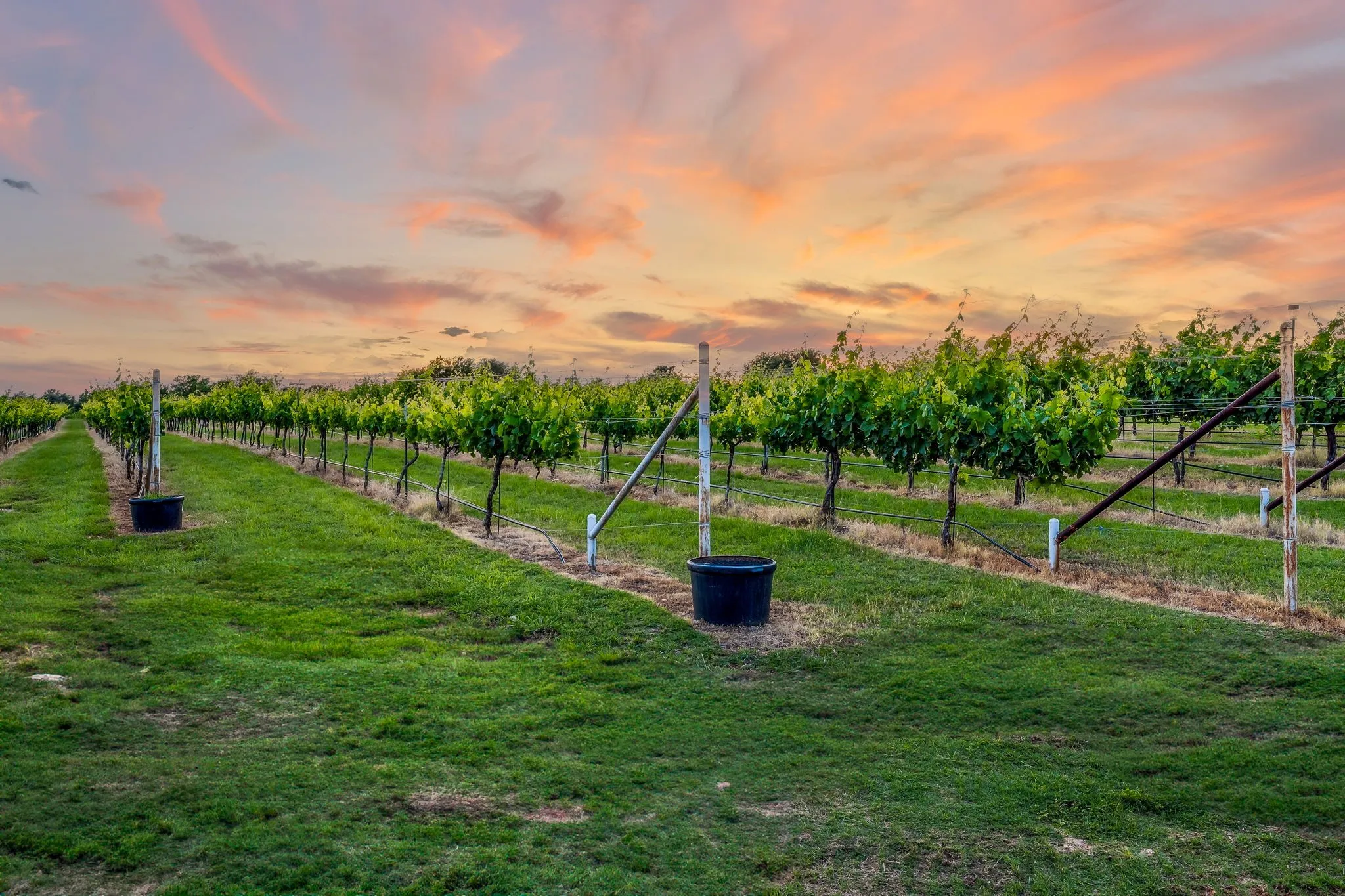 Improved Land For Sale in Erath County , 675 County Road 497 A, Dublin, Texas 76446, 0, 0, Garage spaces, 0 Sqft, built in 2018, mls#21390350, Real Estate Agent in Dublin, Homes For Sale in Erath county, Homes For Sale in Dublin, Realtor in Dublin Texas, Real Estate Brokerage Independent Realty Texas, Luminita Cordes Realtor