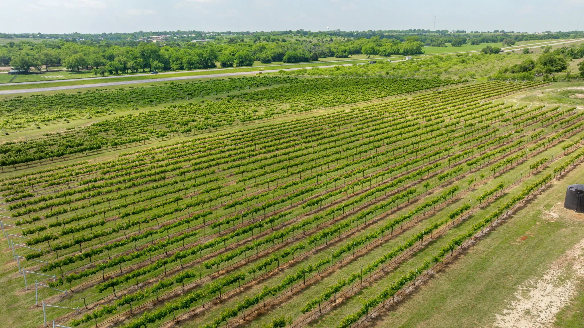 Improved Land For Sale in Erath County , 675 County Road 497 A, Dublin, Texas 76446, 0, 0, Garage spaces, 0 Sqft, built in 2018, mls#21390350, Real Estate Agent in Dublin, Homes For Sale in Erath county, Homes For Sale in Dublin, Realtor in Dublin Texas, Real Estate Brokerage Independent Realty Texas, Luminita Cordes Realtor