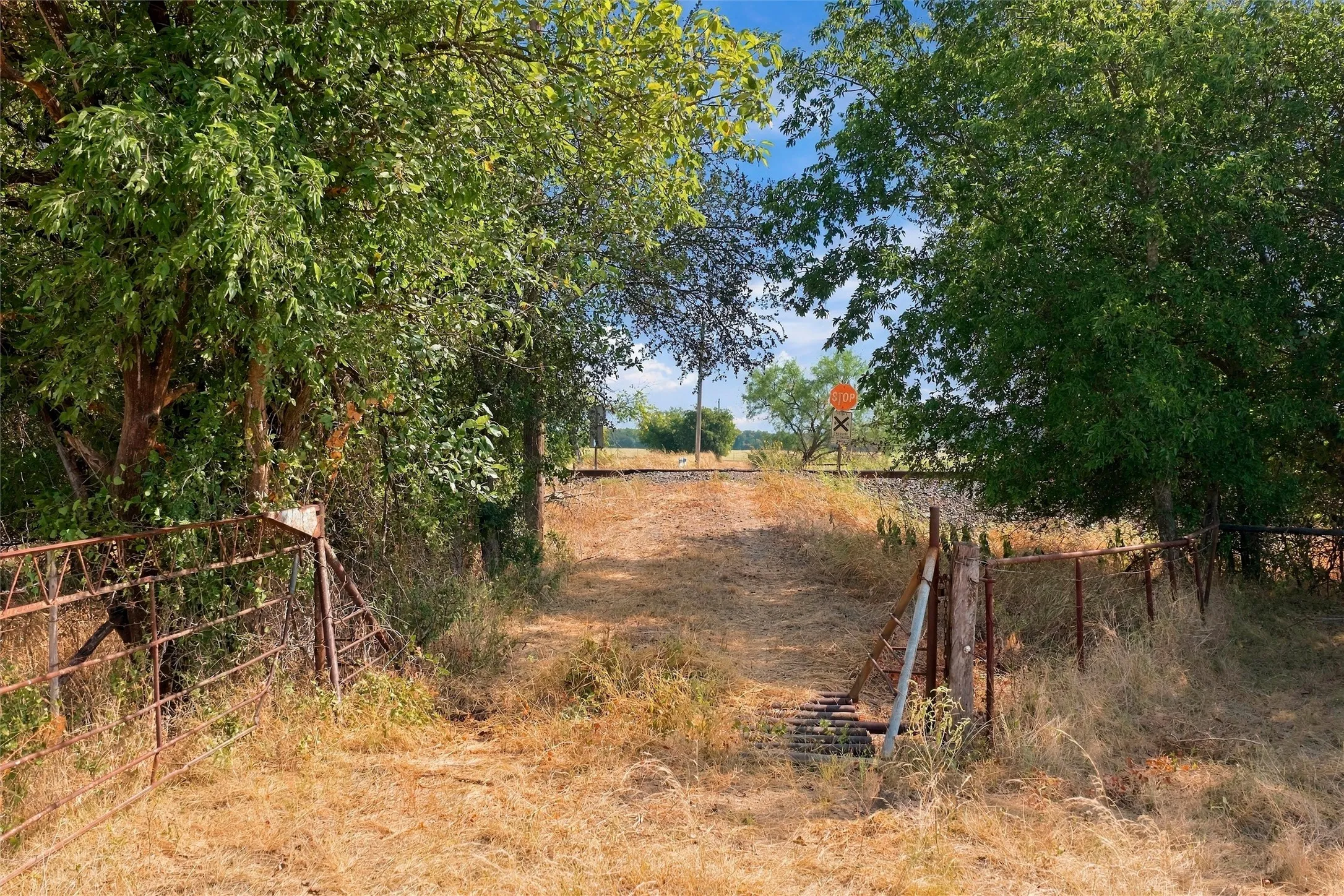 Unimproved Land For Sale in Bosque County , TBD Fm-1991, Clifton, Texas 76634, 0, 0, Garage spaces, 0 Sqft, built in 0, mls#21390382, Real Estate Agent in Clifton, Homes For Sale in Bosque county, Homes For Sale in Clifton, Realtor in Clifton Texas, Real Estate Brokerage Independent Realty Texas, Luminita Cordes Realtor