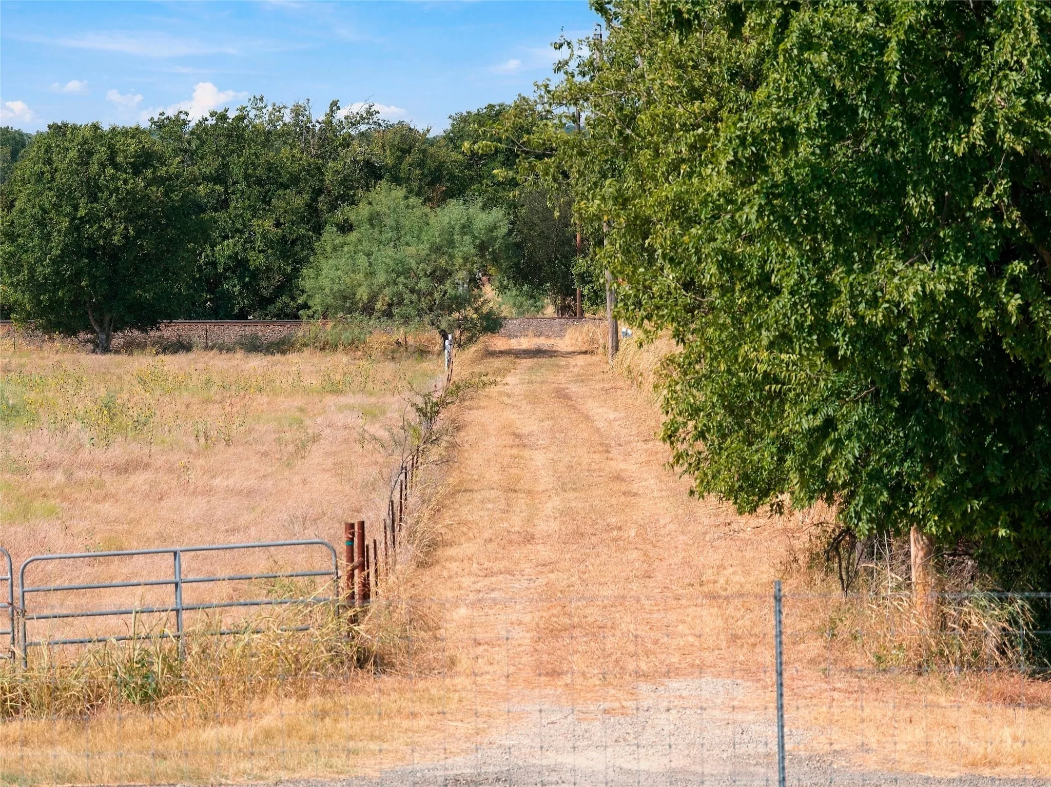 Unimproved Land For Sale in Bosque County , TBD Fm-1991, Clifton, Texas 76634, 0, 0, Garage spaces, 0 Sqft, built in 0, mls#21390382, Real Estate Agent in Clifton, Homes For Sale in Bosque county, Homes For Sale in Clifton, Realtor in Clifton Texas, Real Estate Brokerage Independent Realty Texas, Luminita Cordes Realtor