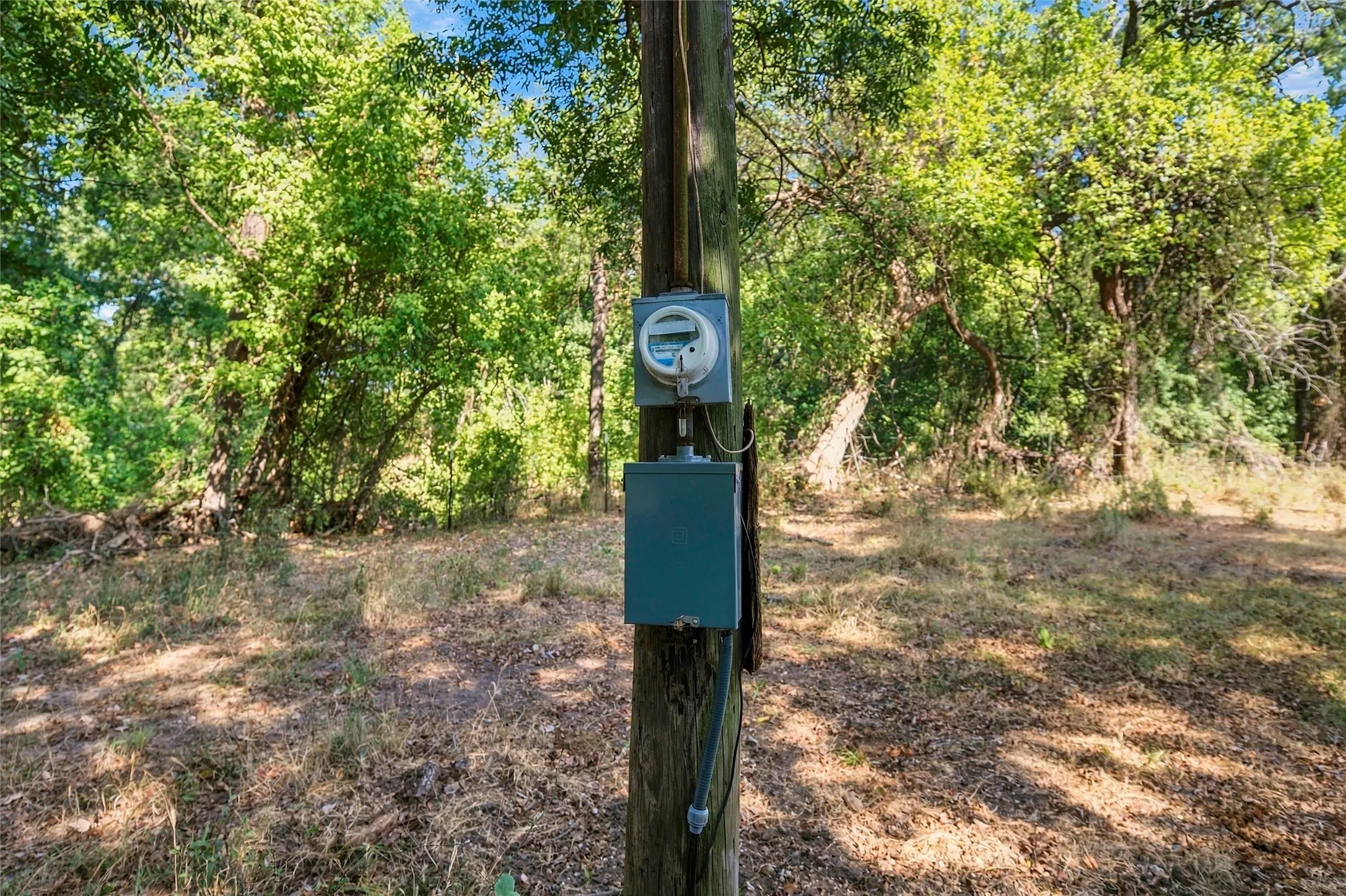 Unimproved Land For Sale in Bosque County , TBD Fm-1991, Clifton, Texas 76634, 0, 0, Garage spaces, 0 Sqft, built in 0, mls#21390382, Real Estate Agent in Clifton, Homes For Sale in Bosque county, Homes For Sale in Clifton, Realtor in Clifton Texas, Real Estate Brokerage Independent Realty Texas, Luminita Cordes Realtor