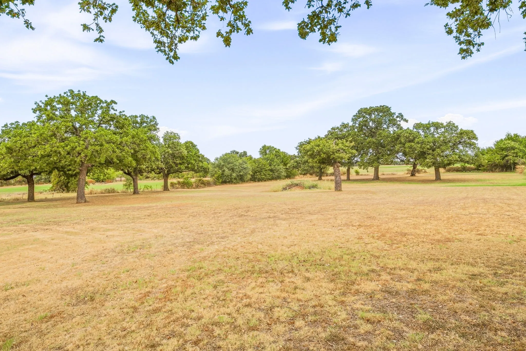 Expansive outdoor space featuring mature trees and open fields
