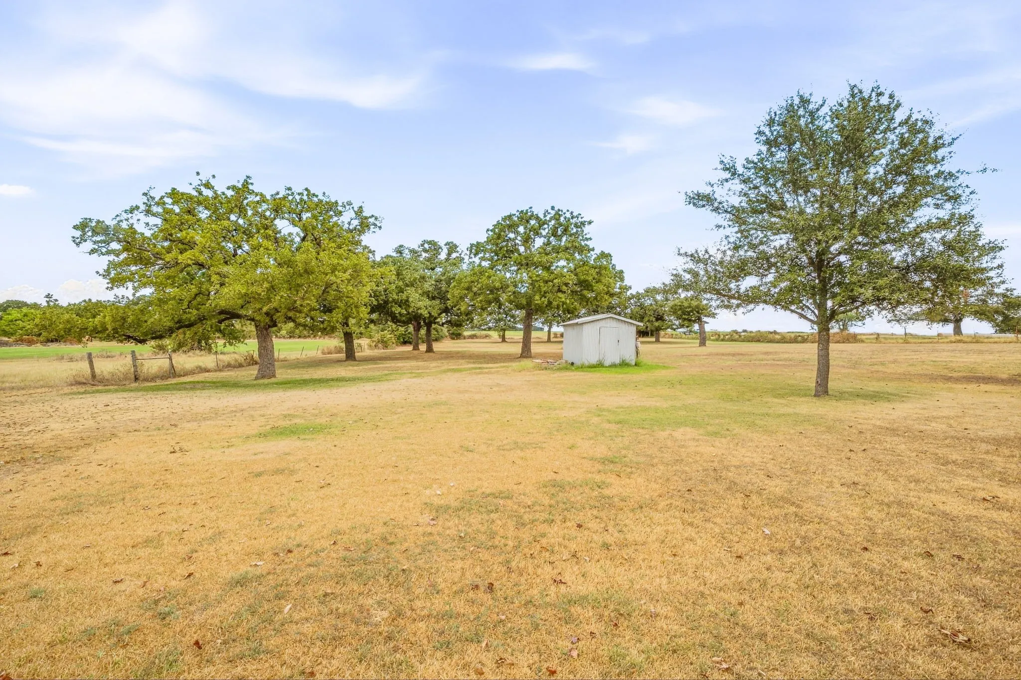 Spacious open field featuring scattered mature trees and a white utility shed