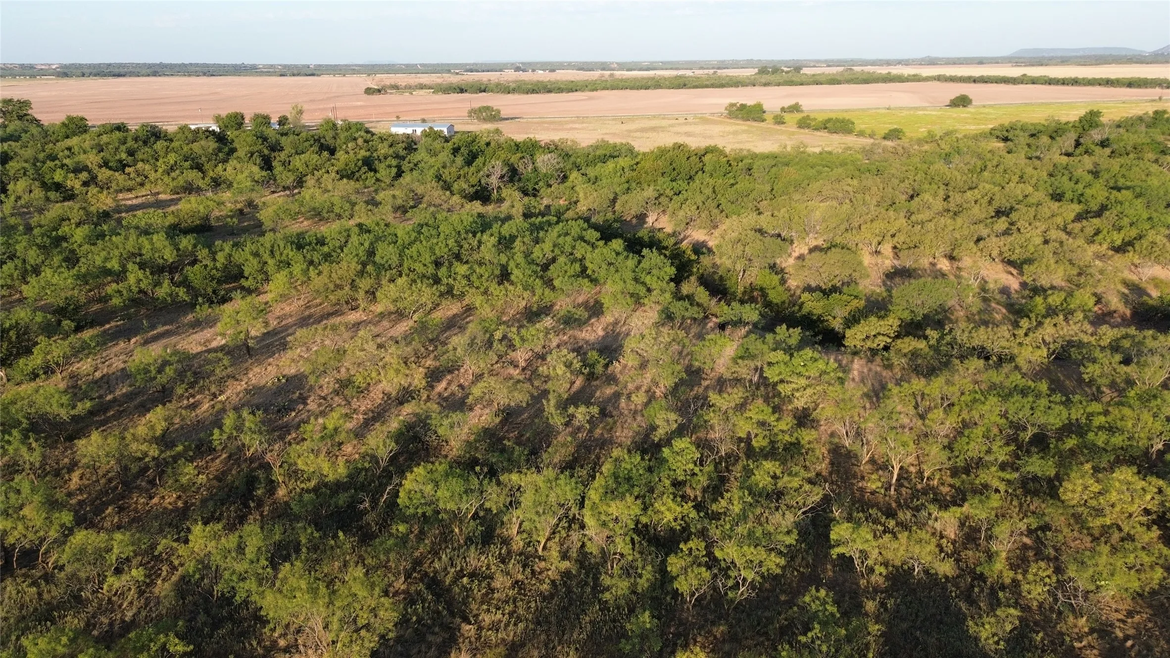 Ranch For Sale in Runnels County , 801 State Highway 153, Wingate, Texas 79566, 0, 0, Garage spaces, 0 Sqft, built in 0, mls#21390306, Real Estate Agent in Wingate, Homes For Sale in Runnels county, Homes For Sale in Wingate, Realtor in Wingate Texas, Real Estate Brokerage Independent Realty Texas, Luminita Cordes Realtor