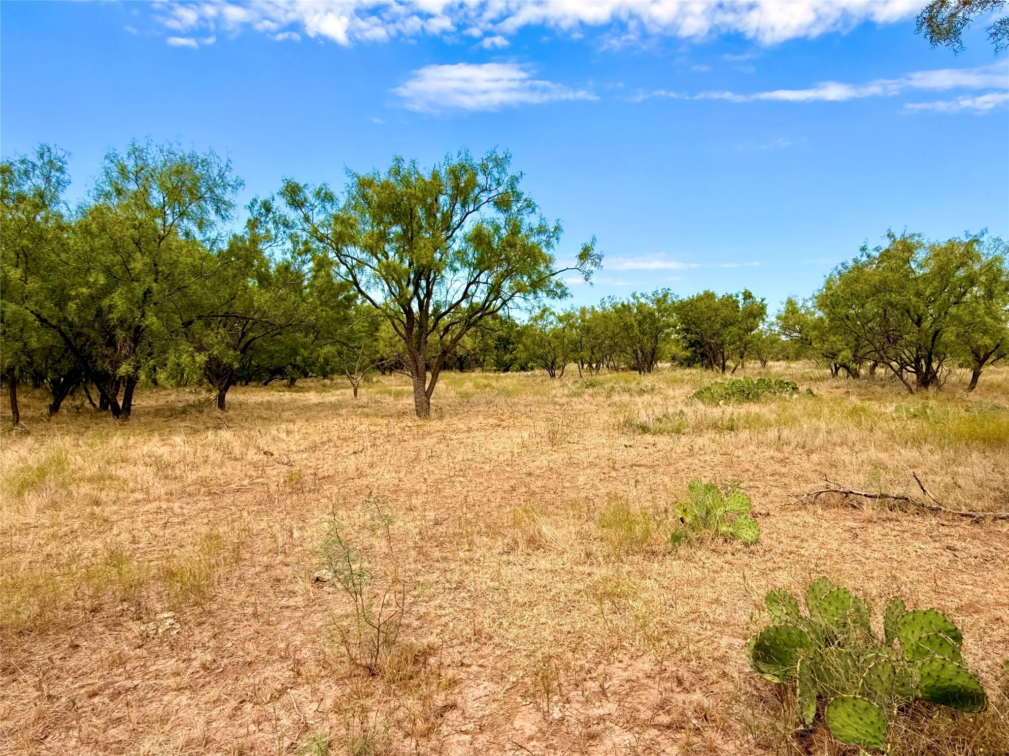 Ranch For Sale in Runnels County , 801 State Highway 153, Wingate, Texas 79566, 0, 0, Garage spaces, 0 Sqft, built in 0, mls#21390306, Real Estate Agent in Wingate, Homes For Sale in Runnels county, Homes For Sale in Wingate, Realtor in Wingate Texas, Real Estate Brokerage Independent Realty Texas, Luminita Cordes Realtor