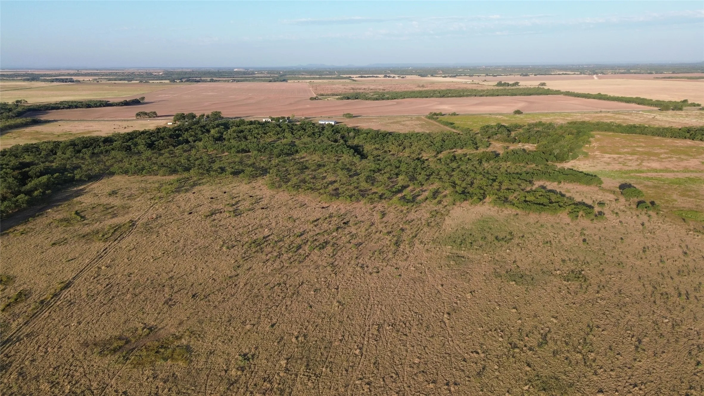 Ranch For Sale in Runnels County , 801 State Highway 153, Wingate, Texas 79566, 0, 0, Garage spaces, 0 Sqft, built in 0, mls#21390306, Real Estate Agent in Wingate, Homes For Sale in Runnels county, Homes For Sale in Wingate, Realtor in Wingate Texas, Real Estate Brokerage Independent Realty Texas, Luminita Cordes Realtor