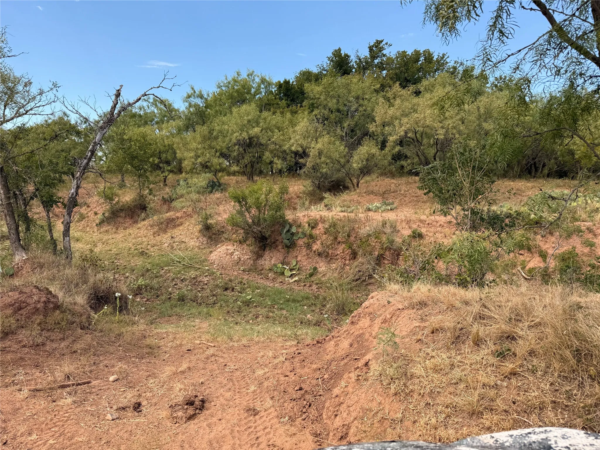 Ranch For Sale in Runnels County , 801 State Highway 153, Wingate, Texas 79566, 0, 0, Garage spaces, 0 Sqft, built in 0, mls#21390306, Real Estate Agent in Wingate, Homes For Sale in Runnels county, Homes For Sale in Wingate, Realtor in Wingate Texas, Real Estate Brokerage Independent Realty Texas, Luminita Cordes Realtor