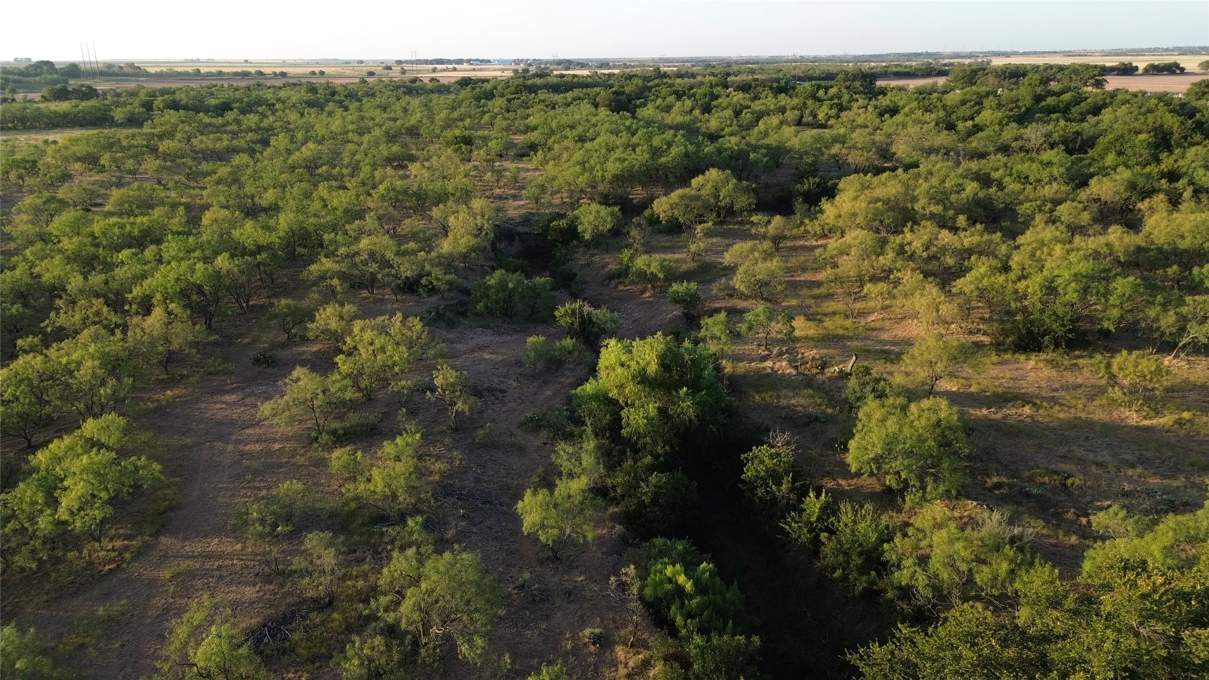 Ranch For Sale in Runnels County , 801 State Highway 153, Wingate, Texas 79566, 0, 0, Garage spaces, 0 Sqft, built in 0, mls#21390306, Real Estate Agent in Wingate, Homes For Sale in Runnels county, Homes For Sale in Wingate, Realtor in Wingate Texas, Real Estate Brokerage Independent Realty Texas, Luminita Cordes Realtor