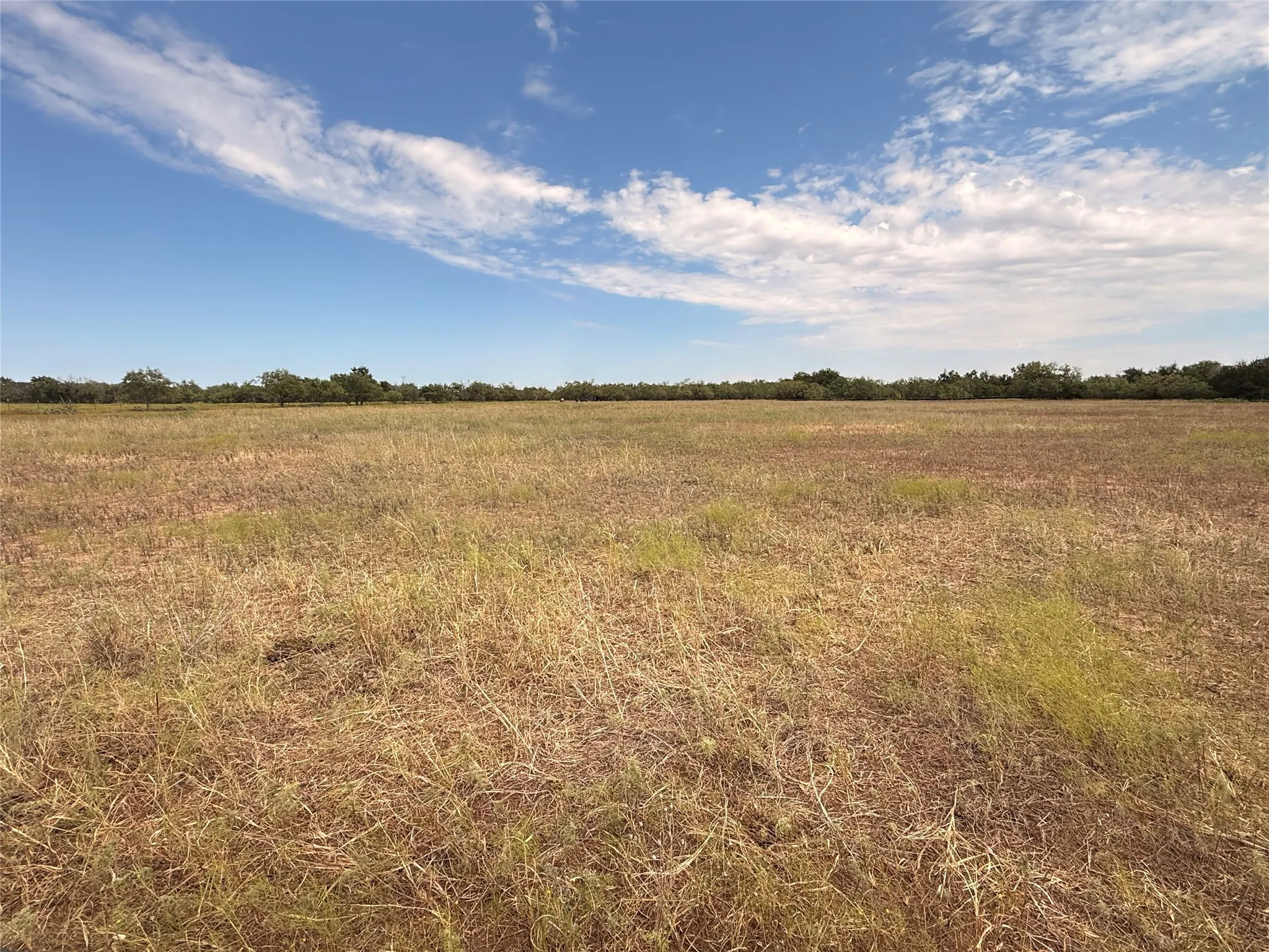 Ranch For Sale in Runnels County , 801 State Highway 153, Wingate, Texas 79566, 0, 0, Garage spaces, 0 Sqft, built in 0, mls#21390306, Real Estate Agent in Wingate, Homes For Sale in Runnels county, Homes For Sale in Wingate, Realtor in Wingate Texas, Real Estate Brokerage Independent Realty Texas, Luminita Cordes Realtor