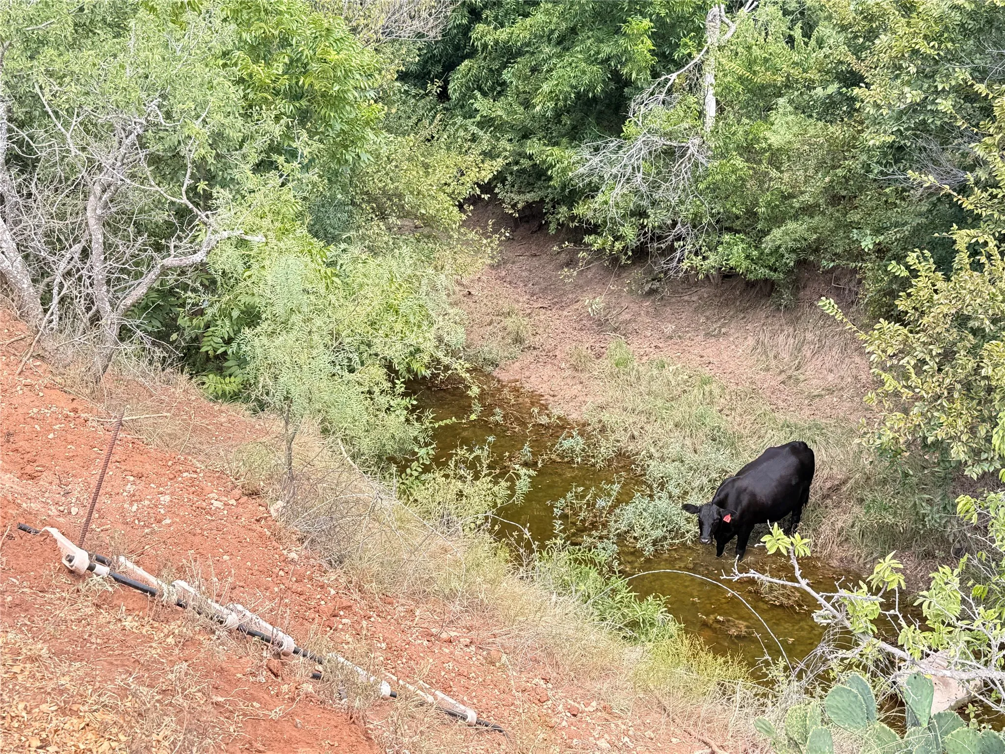 Ranch For Sale in Runnels County , 801 State Highway 153, Wingate, Texas 79566, 0, 0, Garage spaces, 0 Sqft, built in 0, mls#21390306, Real Estate Agent in Wingate, Homes For Sale in Runnels county, Homes For Sale in Wingate, Realtor in Wingate Texas, Real Estate Brokerage Independent Realty Texas, Luminita Cordes Realtor