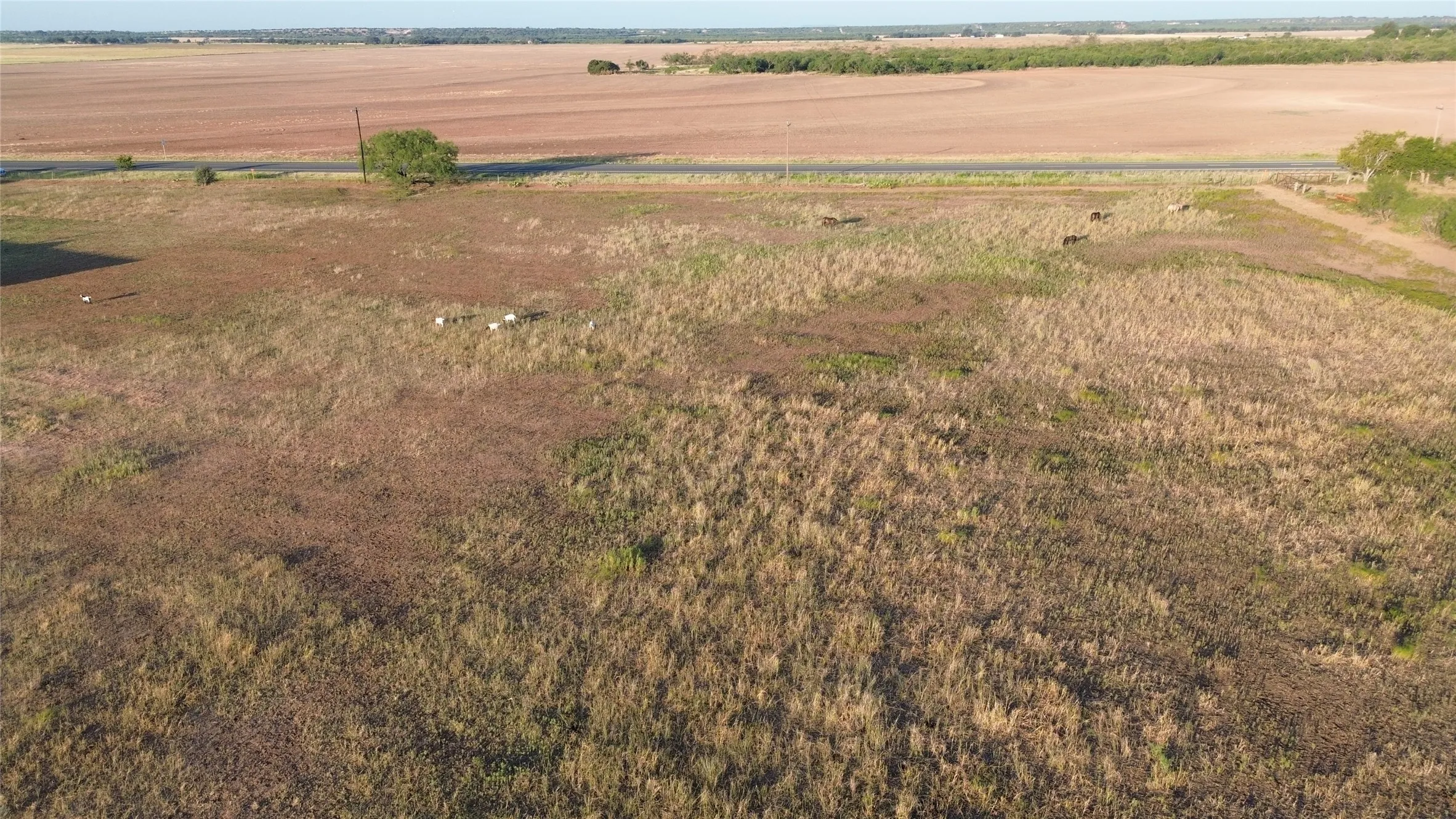 Ranch For Sale in Runnels County , 801 State Highway 153, Wingate, Texas 79566, 0, 0, Garage spaces, 0 Sqft, built in 0, mls#21390306, Real Estate Agent in Wingate, Homes For Sale in Runnels county, Homes For Sale in Wingate, Realtor in Wingate Texas, Real Estate Brokerage Independent Realty Texas, Luminita Cordes Realtor