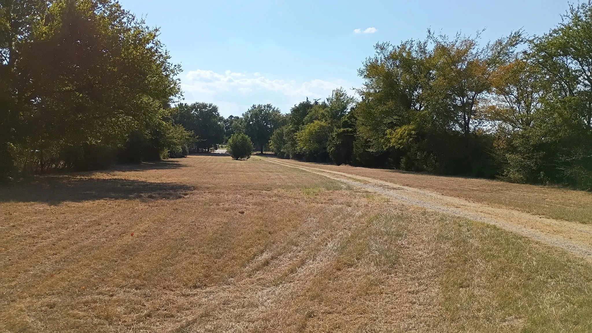 Ranch For Sale in Henderson County , 1703 County Road 2101, Kemp, Texas 75143, 0, 0, Garage spaces, 0 Sqft, built in 1972, mls#21390088, Real Estate Agent in Kemp, Homes For Sale in Henderson county, Homes For Sale in Kemp, Realtor in Kemp Texas, Real Estate Brokerage Independent Realty Texas, Luminita Cordes Realtor