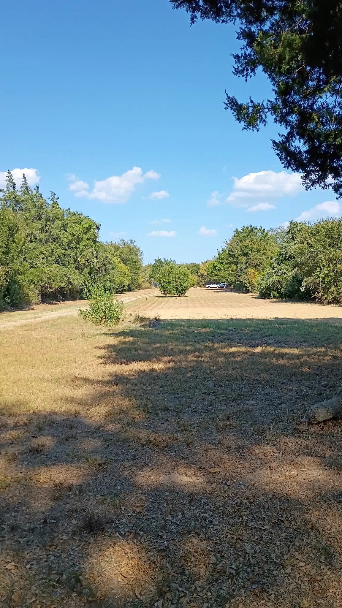 Ranch For Sale in Henderson County , 1703 County Road 2101, Kemp, Texas 75143, 0, 0, Garage spaces, 0 Sqft, built in 1972, mls#21390088, Real Estate Agent in Kemp, Homes For Sale in Henderson county, Homes For Sale in Kemp, Realtor in Kemp Texas, Real Estate Brokerage Independent Realty Texas, Luminita Cordes Realtor