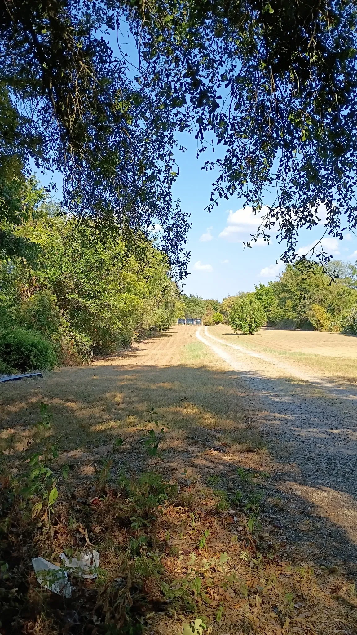 Ranch For Sale in Henderson County , 1703 County Road 2101, Kemp, Texas 75143, 0, 0, Garage spaces, 0 Sqft, built in 1972, mls#21390088, Real Estate Agent in Kemp, Homes For Sale in Henderson county, Homes For Sale in Kemp, Realtor in Kemp Texas, Real Estate Brokerage Independent Realty Texas, Luminita Cordes Realtor