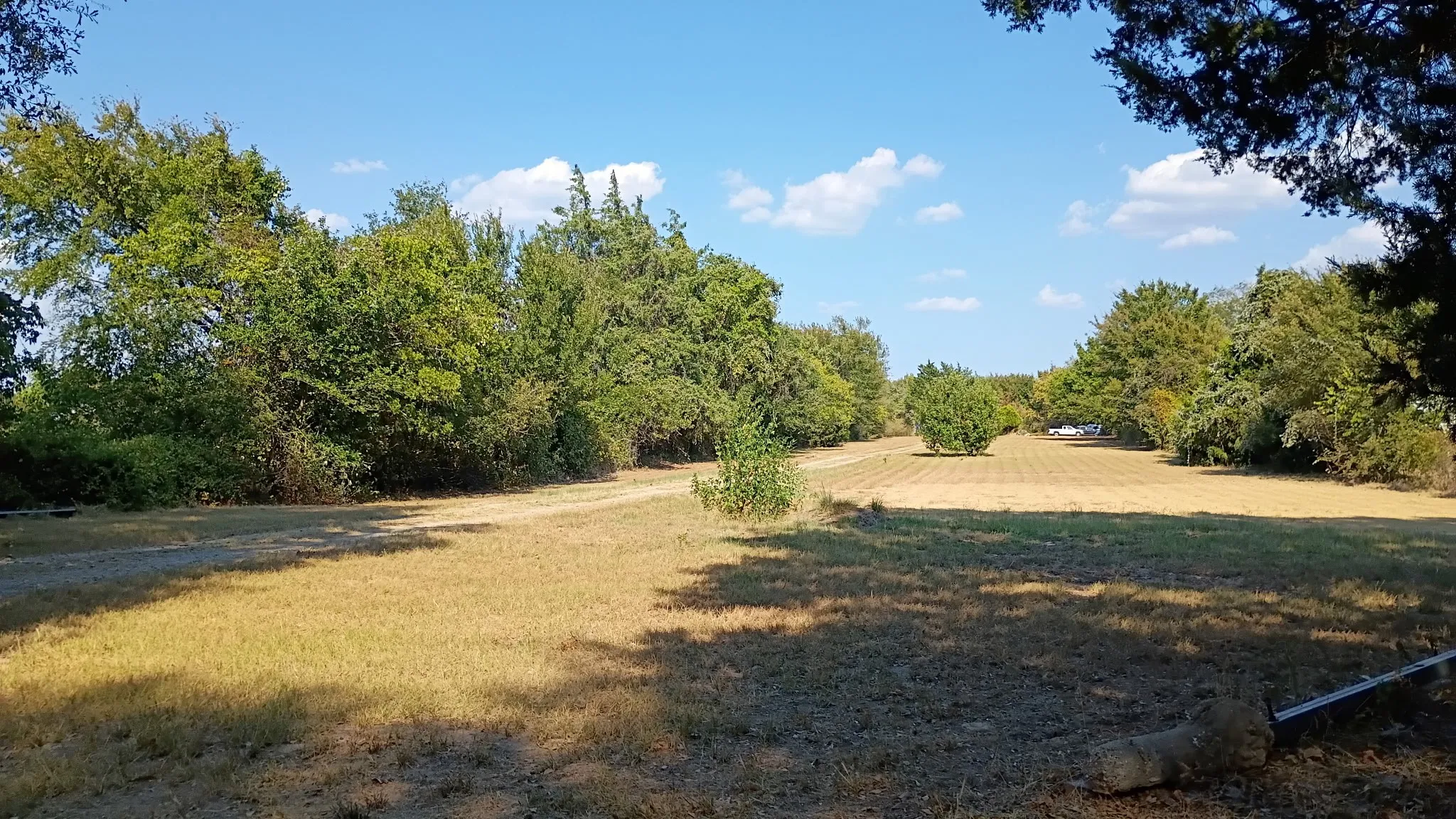 Ranch For Sale in Henderson County , 1703 County Road 2101, Kemp, Texas 75143, 0, 0, Garage spaces, 0 Sqft, built in 1972, mls#21390088, Real Estate Agent in Kemp, Homes For Sale in Henderson county, Homes For Sale in Kemp, Realtor in Kemp Texas, Real Estate Brokerage Independent Realty Texas, Luminita Cordes Realtor