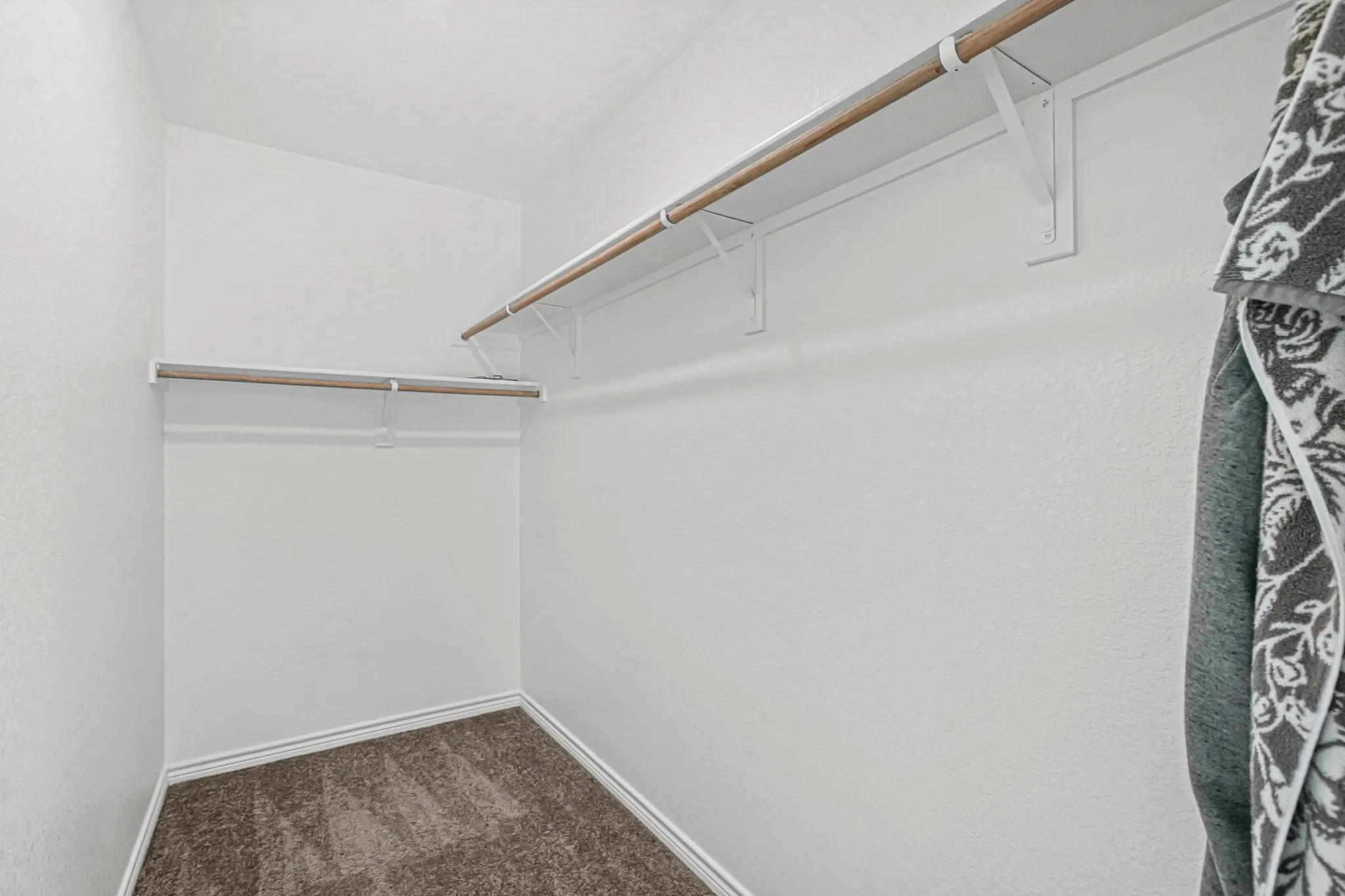 Walk-in closet featuring carpet flooring, white walls, and dual clothing rods with shelving