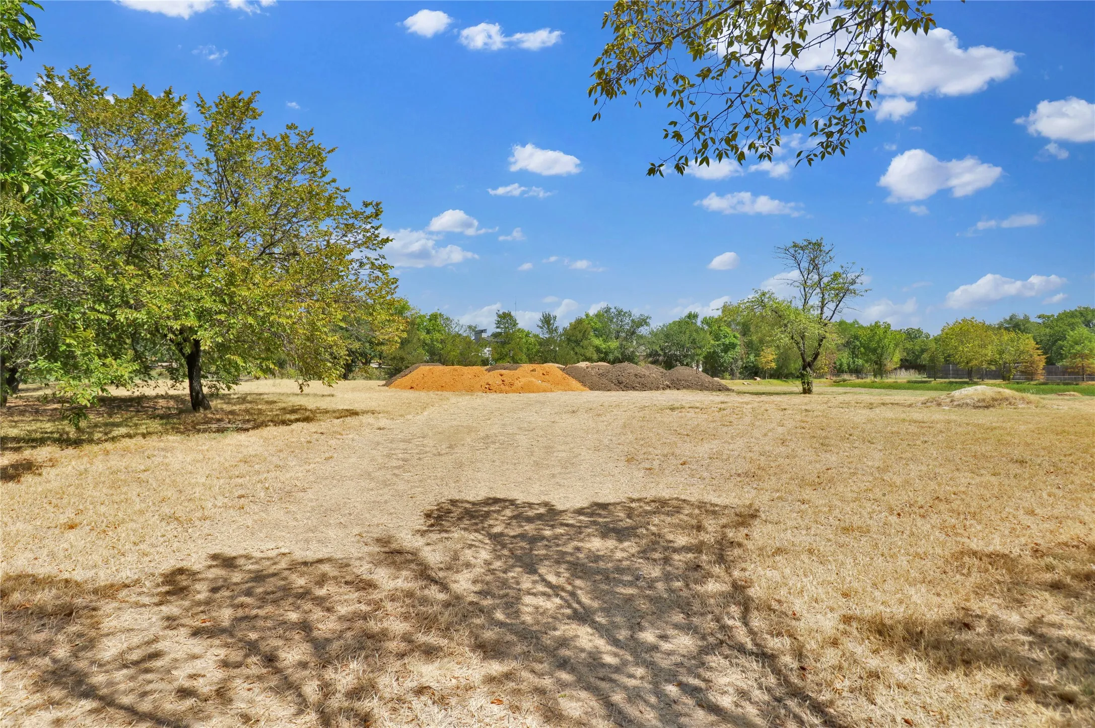 Expansive outdoor space featuring mature trees and a clear sky