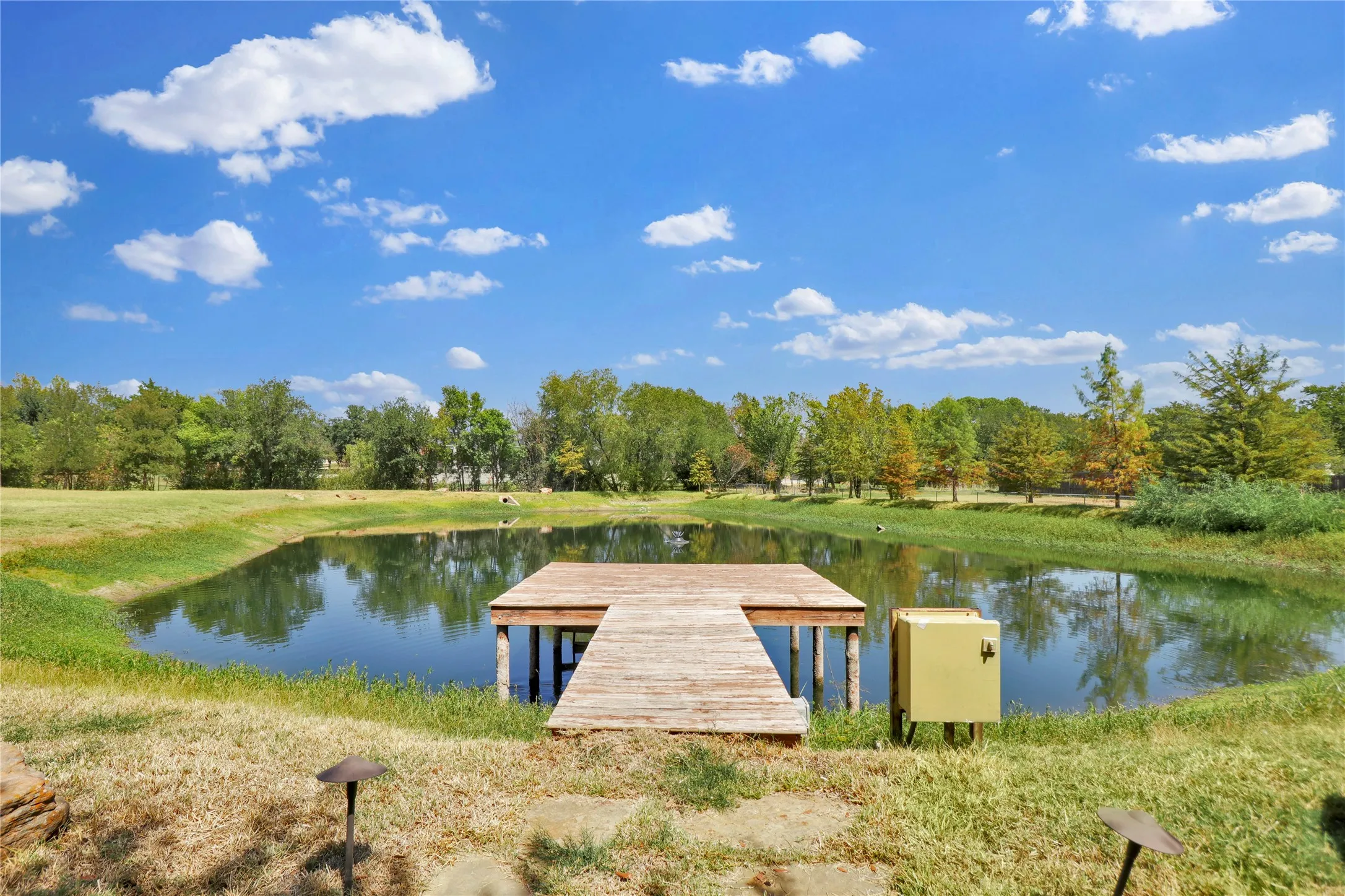 Private pond with a wooden dock and surrounding lush greenery