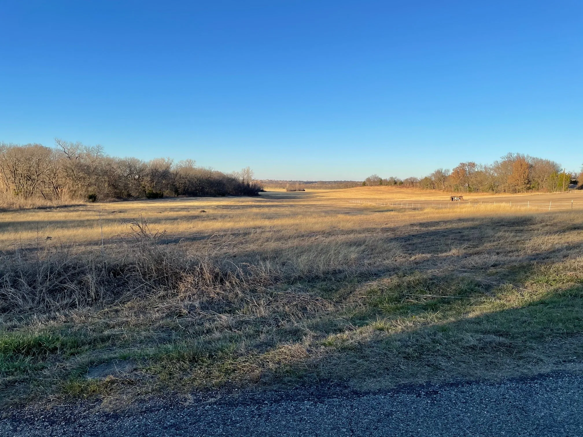 View from Mary Fitch Rd