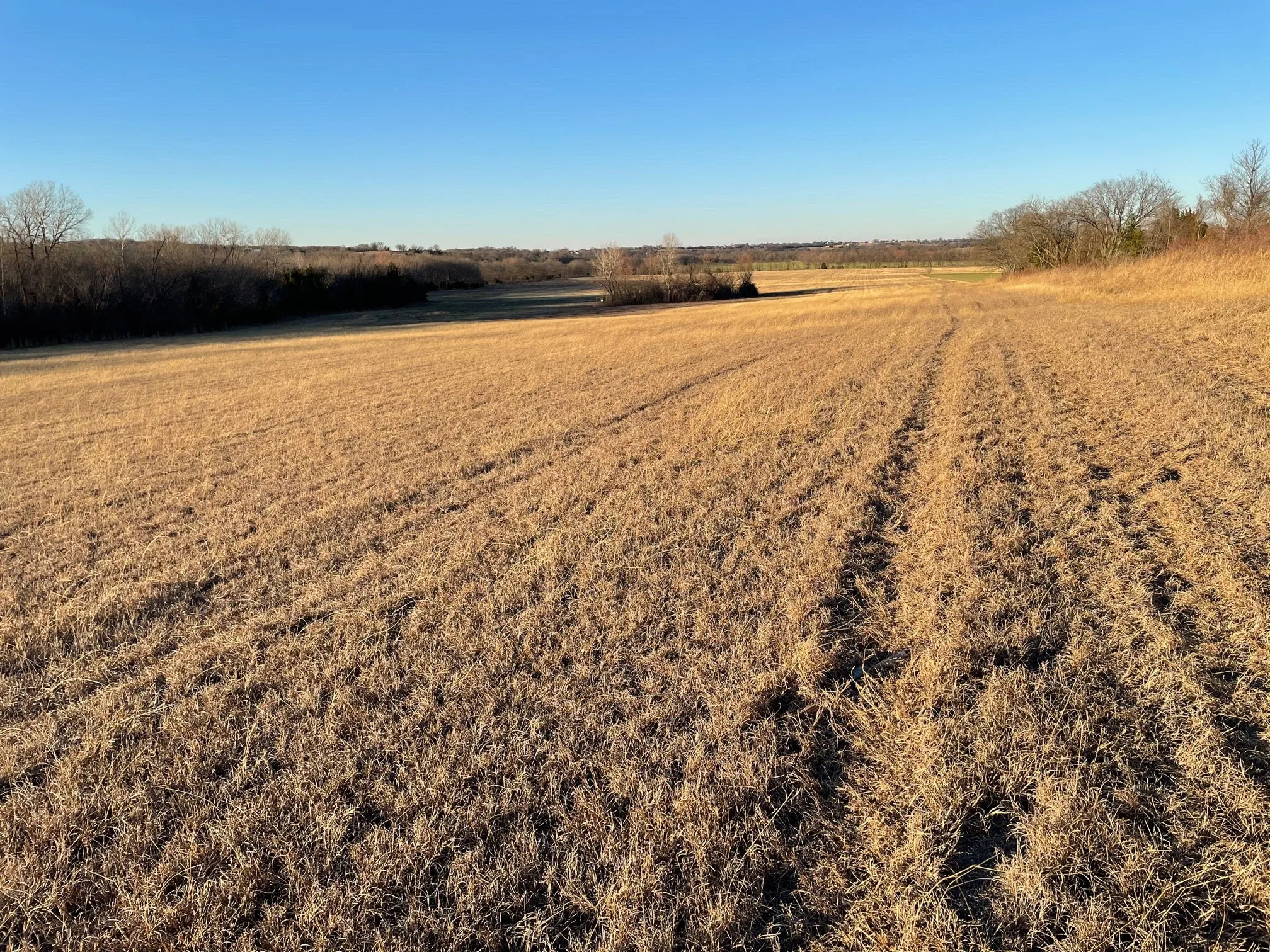 Texas Slice of Heaven, facing N
