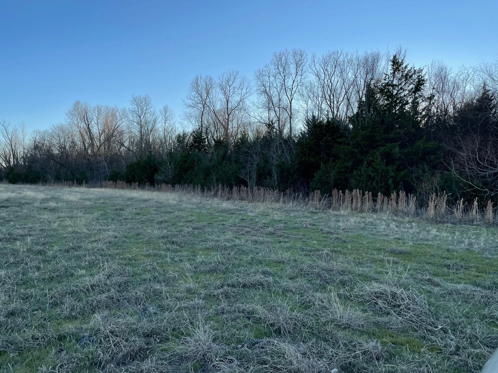 Western edge full of trees