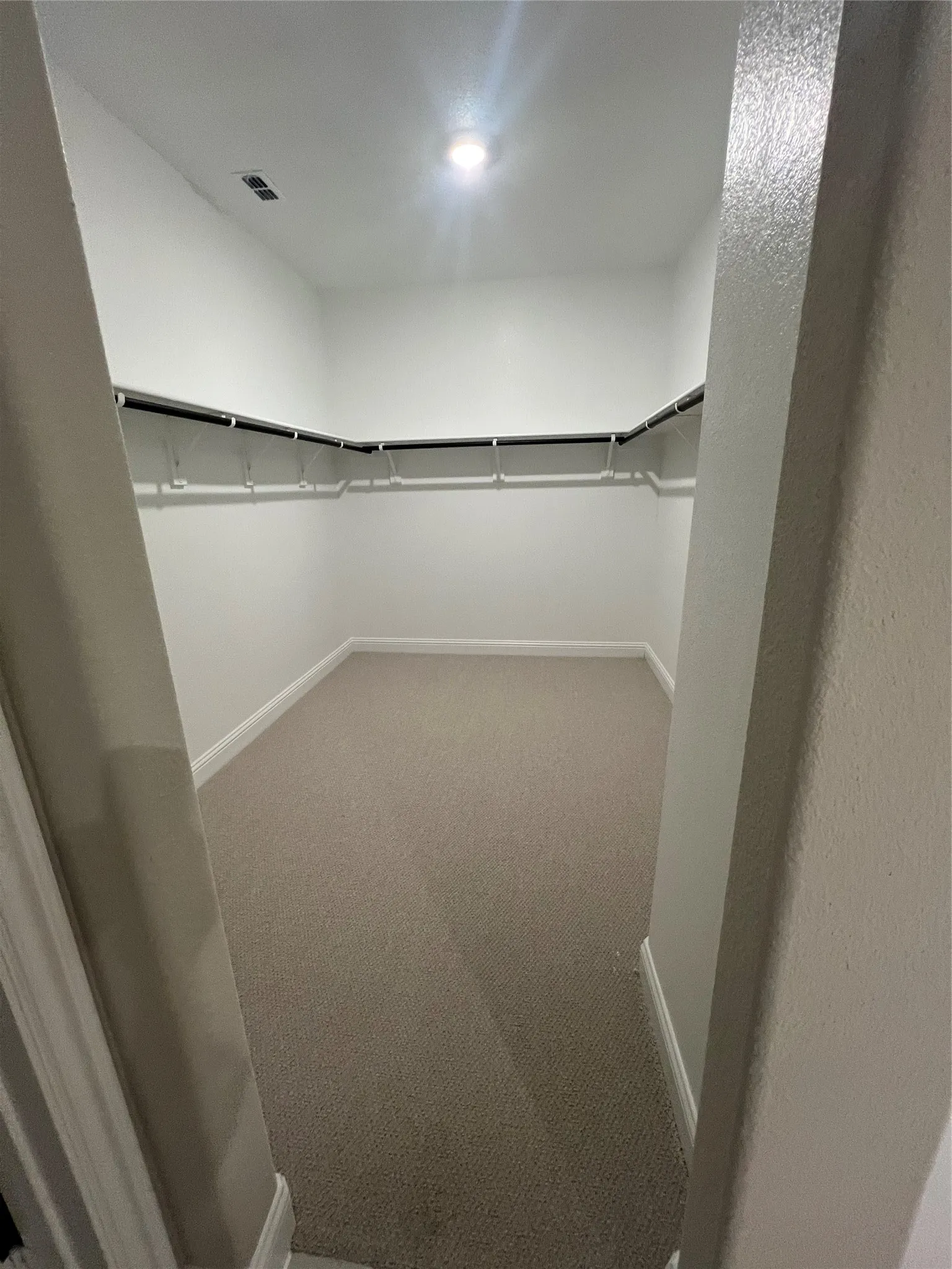Spacious walk-in closet featuring light-toned carpeting and built-in shelving