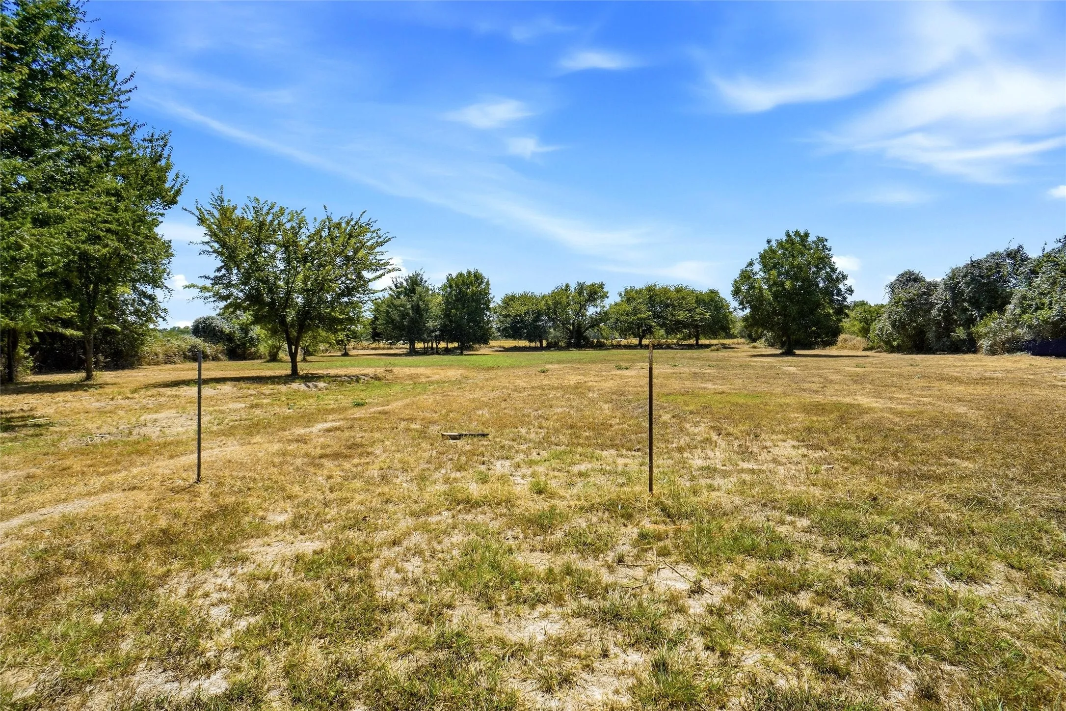 Back Land