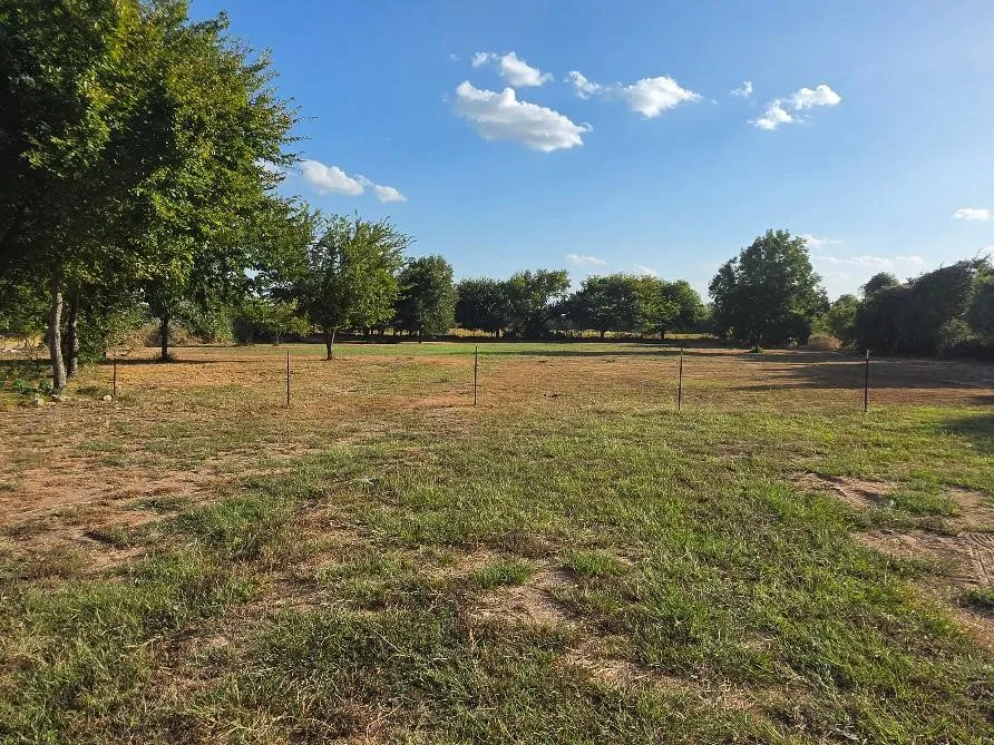 View of Land