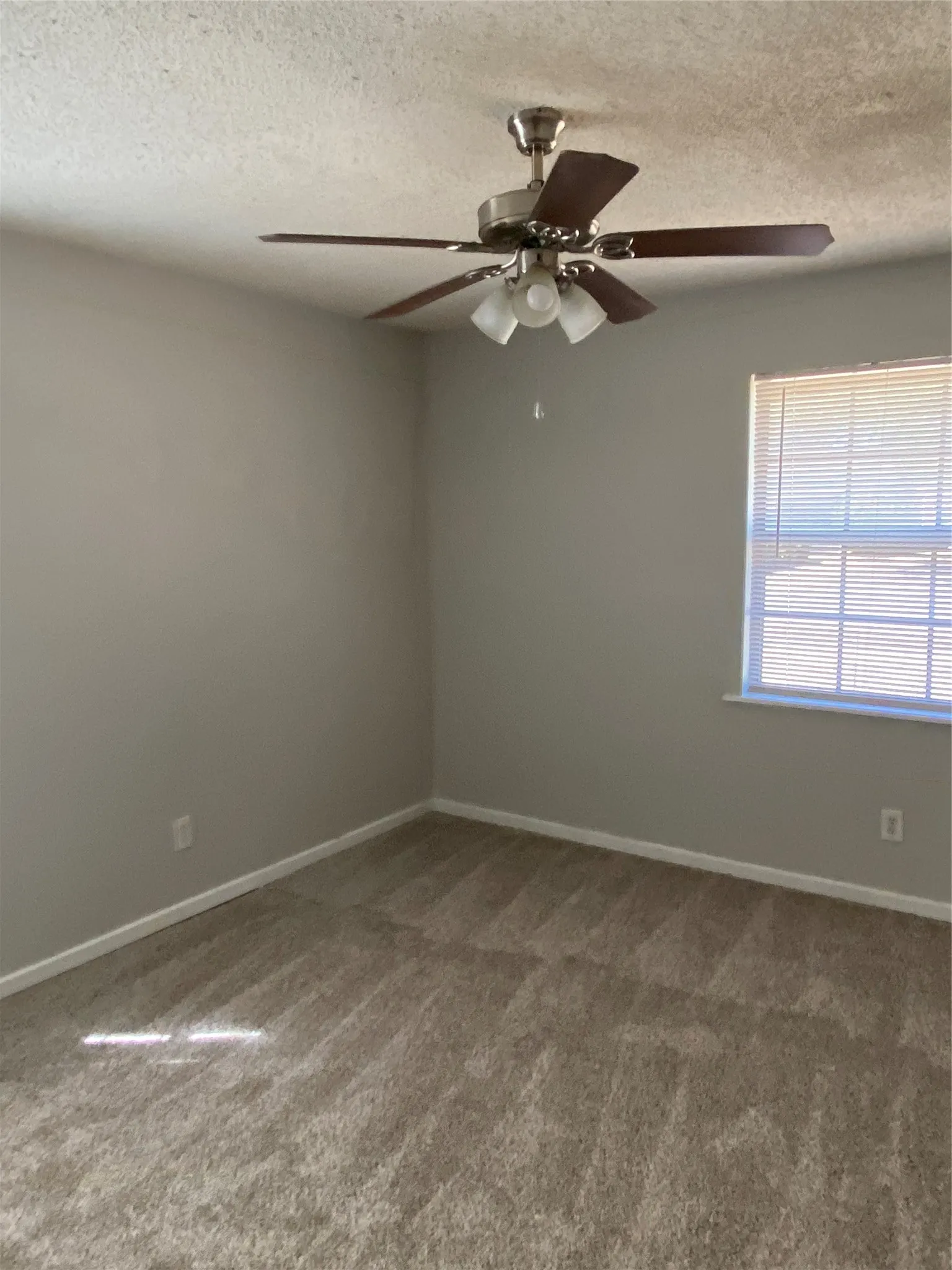Single Family Residence For Rent in Dallas County , 7120 Waycrest Drive, Dallas, Texas 75232, 3 Bedroom, 2 Bathroom, 1 Garage spaces, 1,228 Sqft, built in 1955, mls#21390500, Real Estate Agent in Dallas, Homes For Rent in Dallas county, Homes For Rent in Dallas, Realtor in Dallas Texas, Real Estate Brokerage Independent Realty Texas, Luminita Cordes Realtor
