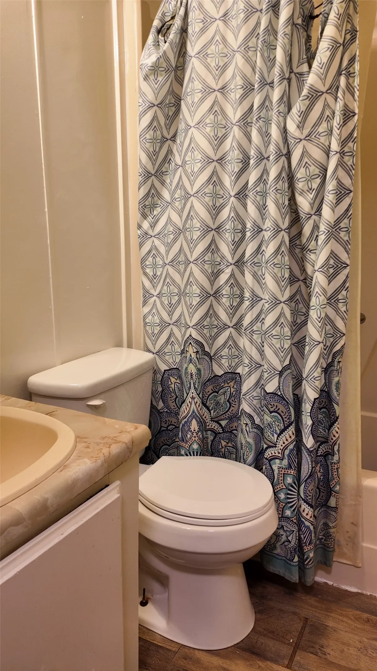 Bathroom featuring a vanity with a drop-in sink, a standard toilet, and wood-finish flooring