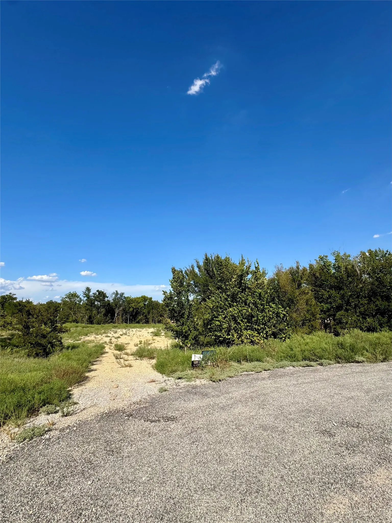 Unimproved Land For Sale in Parker County , 205 Tankhouse Terrace, Weatherford, Texas 76085, 0, 0, Garage spaces, 0 Sqft, built in 0, mls#21390545, Real Estate Agent in Weatherford, Homes For Sale in Parker county, Homes For Sale in Weatherford, Realtor in Weatherford Texas, Real Estate Brokerage Independent Realty Texas, Luminita Cordes Realtor
