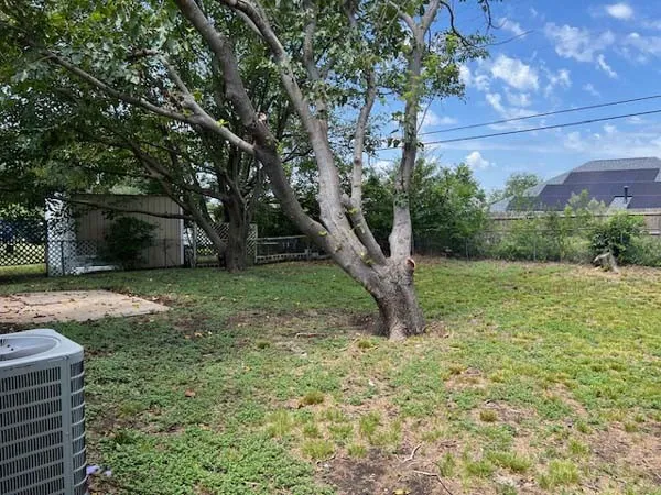 Single Family Residence For Rent in Ellis County , 806 Phillips Drive, Ennis, Texas 75119, 3 Bedroom, 2 Bathroom, 2 Garage spaces, 1,154 Sqft, built in 1972, mls#21390549, Real Estate Agent in Ennis, Homes For Rent in Ellis county, Homes For Rent in Ennis, Realtor in Ennis Texas, Real Estate Brokerage Independent Realty Texas, Luminita Cordes Realtor