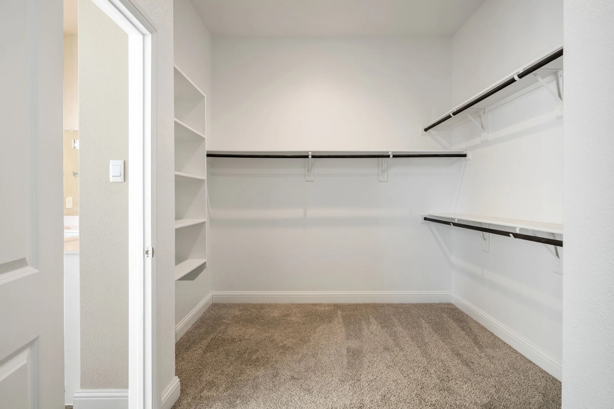 Spacious closet featuring wall-mounted shelving, built-in open shelving, and carpet flooring