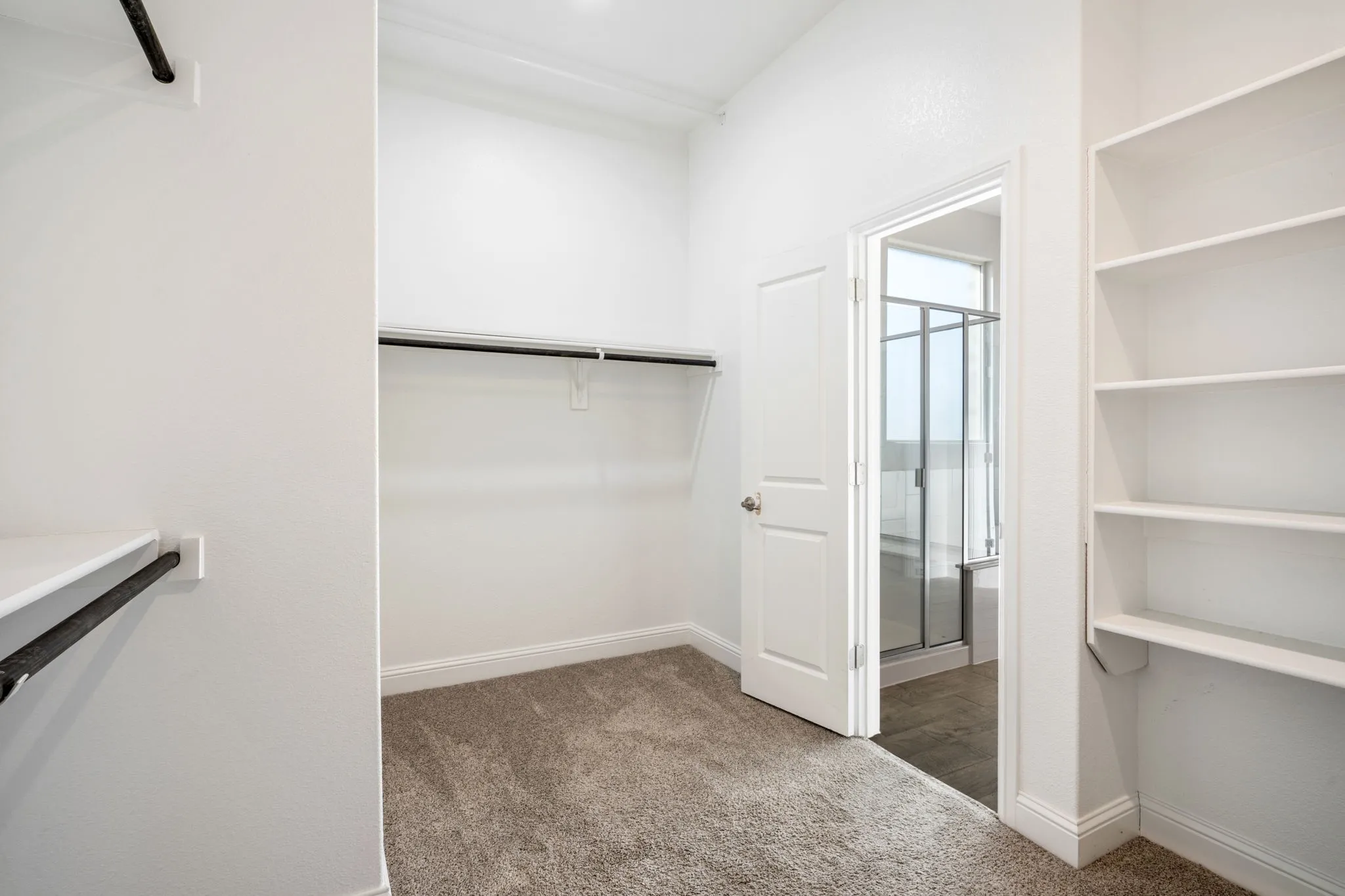 Walk-in closet featuring built-in shelving, hanging rods, and carpet flooring