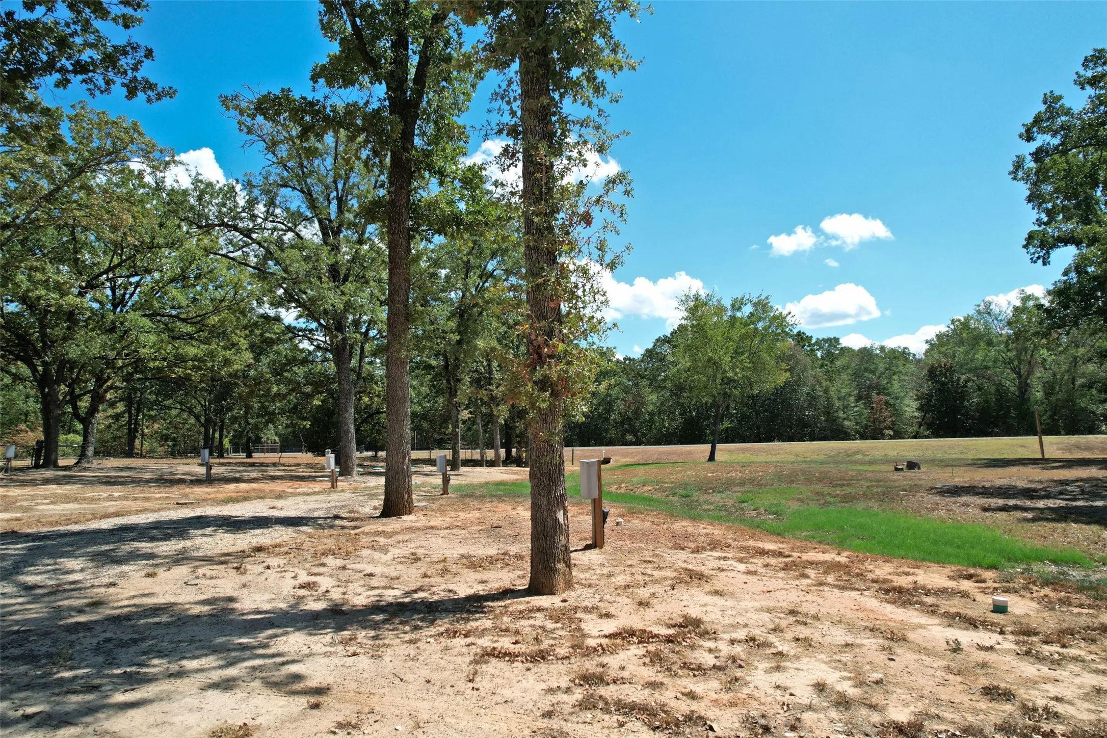 Unimproved Land For Sale in Wood County , 7278 W Fm 515, Yantis, Texas 75497, 0, 0, Garage spaces, 0 Sqft, built in 0, mls#21387110, Real Estate Agent in Yantis, Homes For Sale in Wood county, Homes For Sale in Yantis, Realtor in Yantis Texas, Real Estate Brokerage Independent Realty Texas, Luminita Cordes Realtor