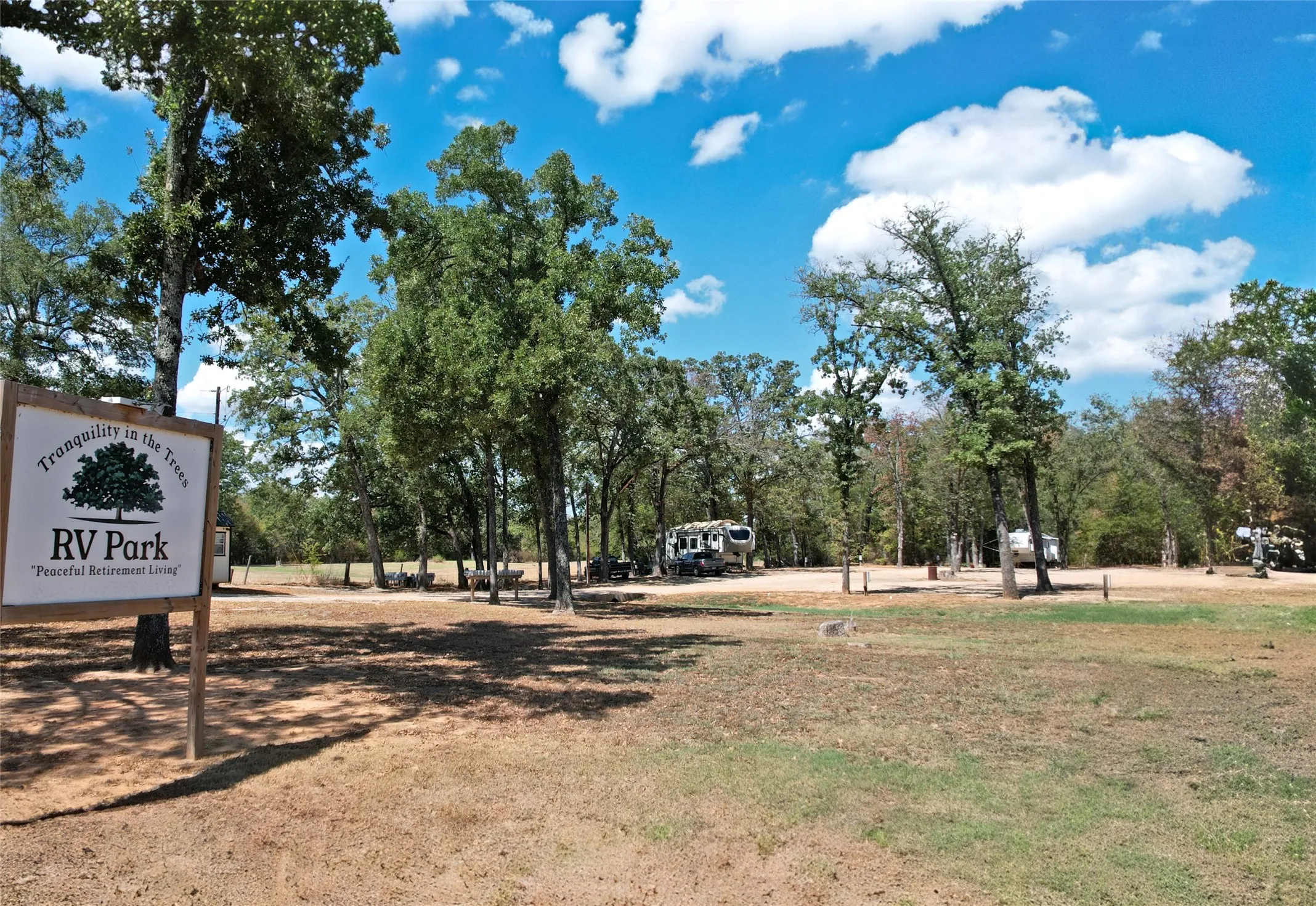 Unimproved Land For Sale in Wood County , 7278 W Fm 515, Yantis, Texas 75497, 0, 0, Garage spaces, 0 Sqft, built in 0, mls#21387110, Real Estate Agent in Yantis, Homes For Sale in Wood county, Homes For Sale in Yantis, Realtor in Yantis Texas, Real Estate Brokerage Independent Realty Texas, Luminita Cordes Realtor