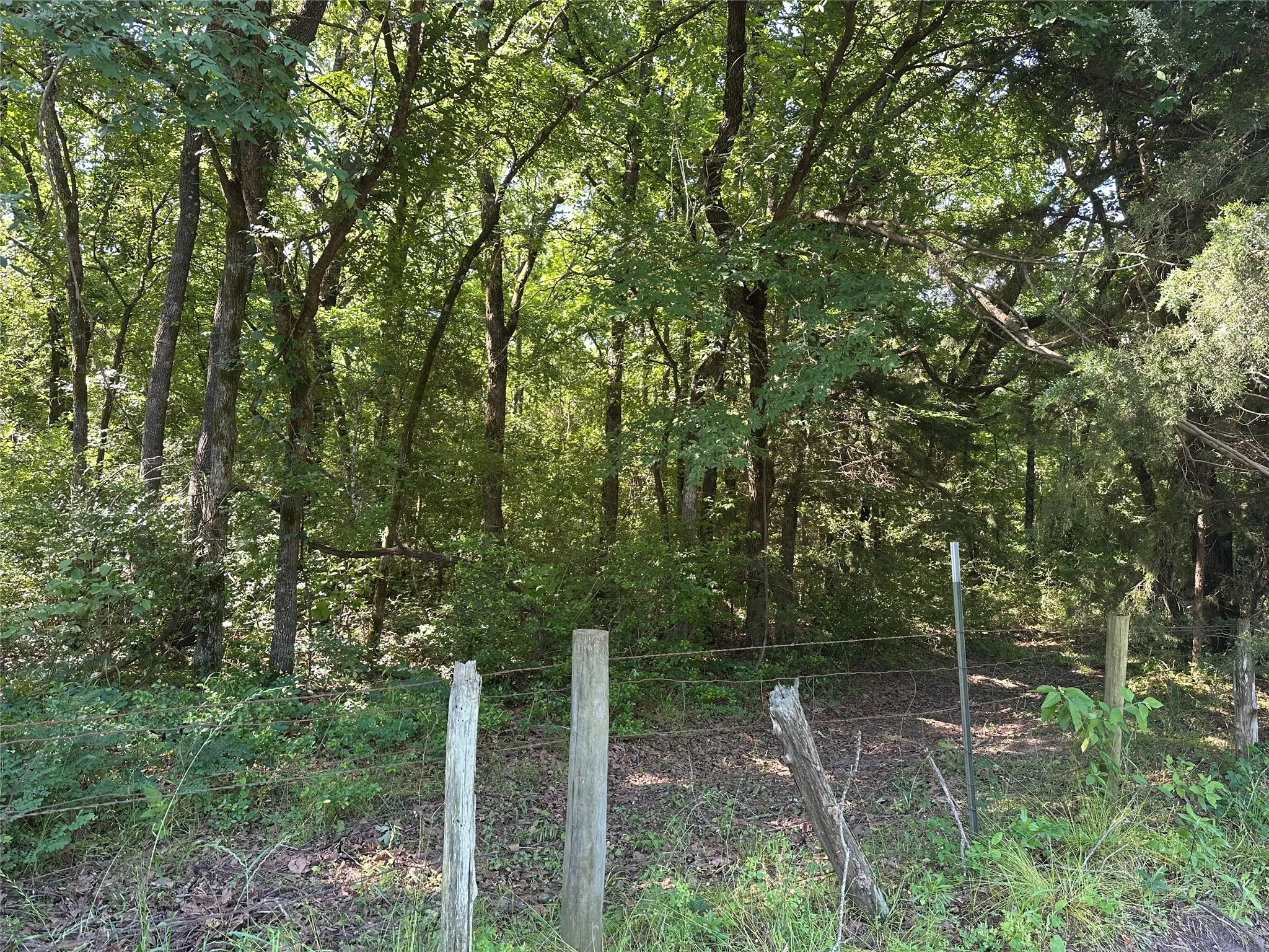  perimeter fencing on 3 sides