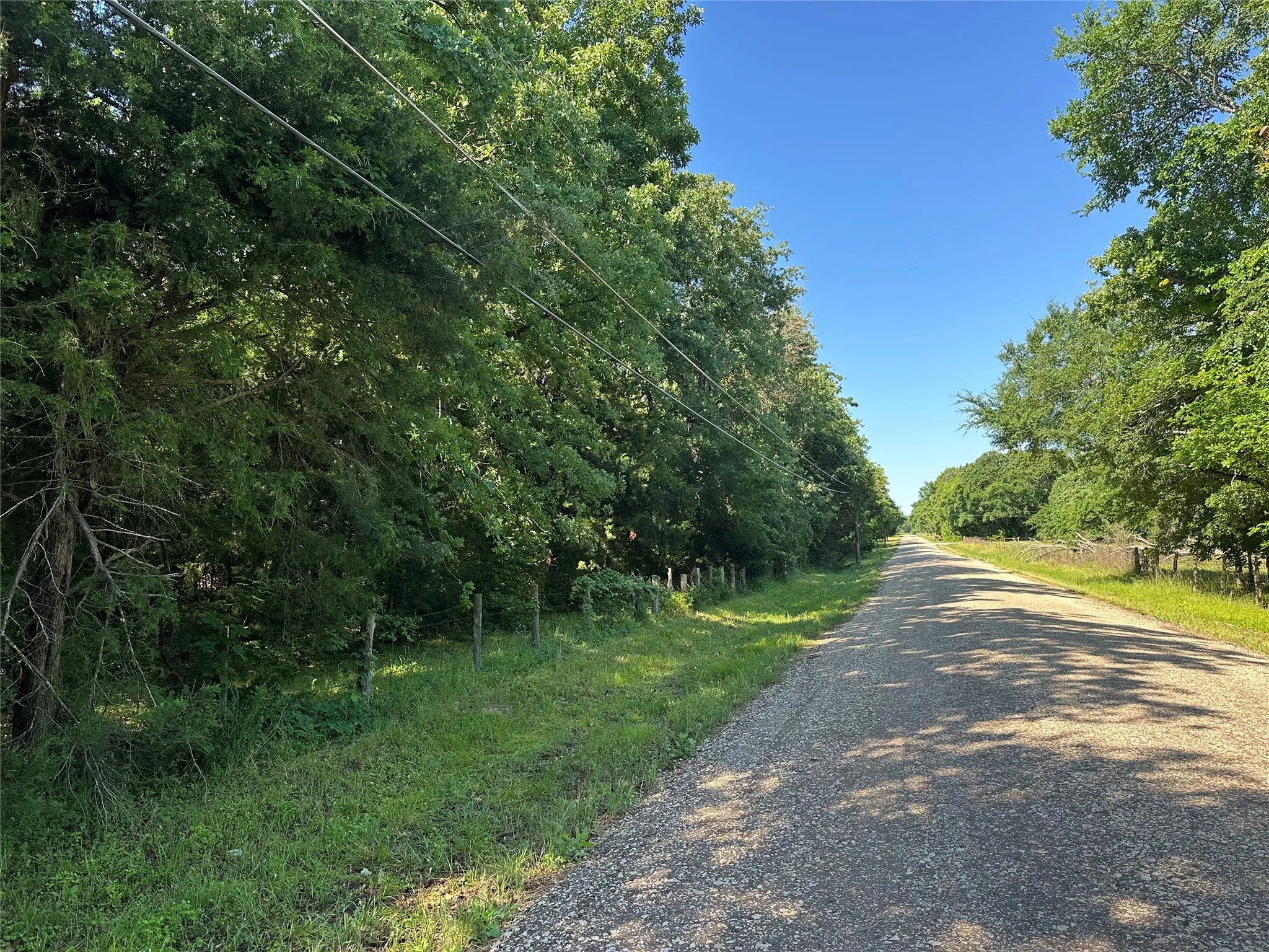 Wooded perimeter with a gravel roadLCR 403 frontage