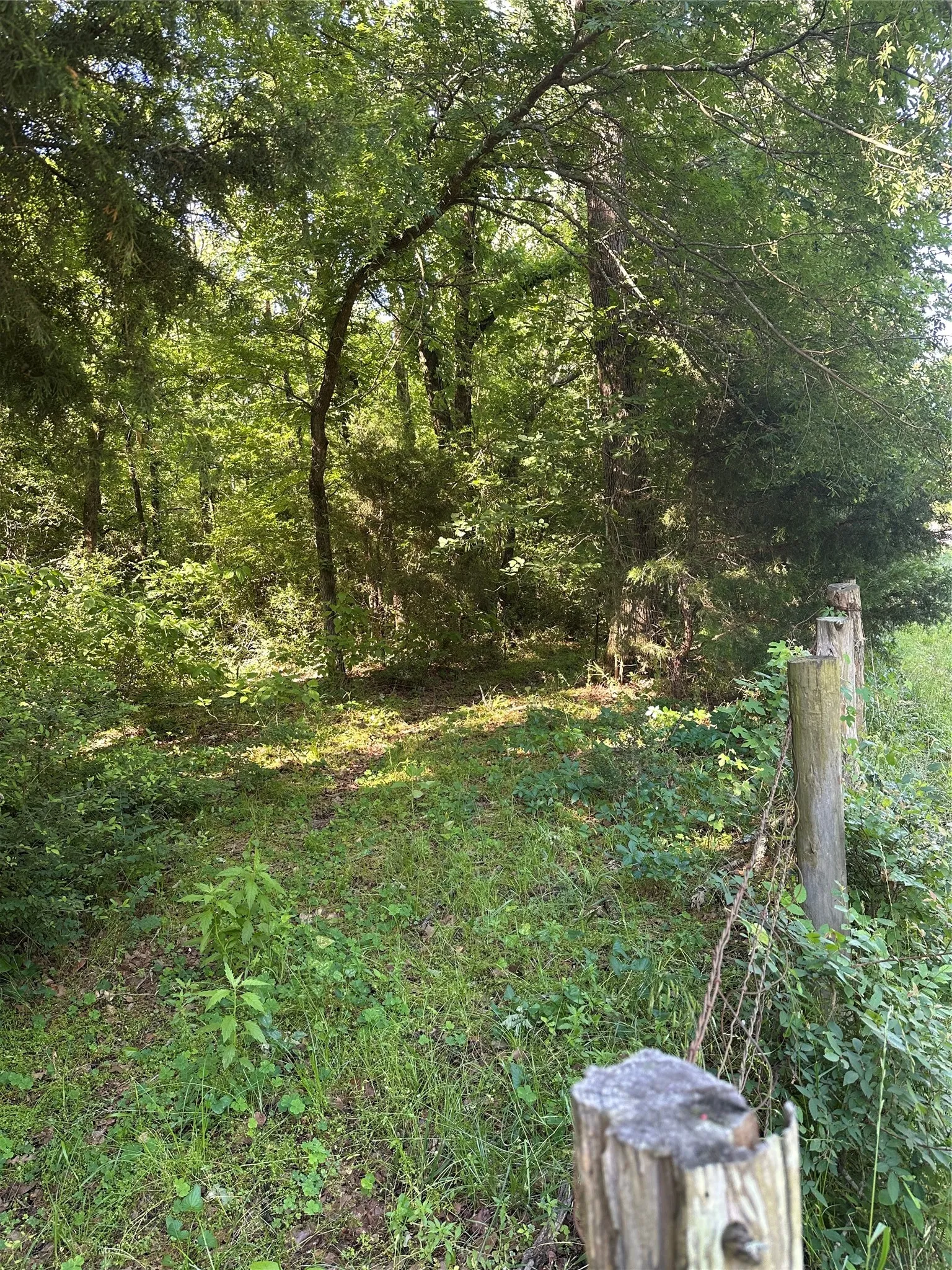 path cut inside fence line