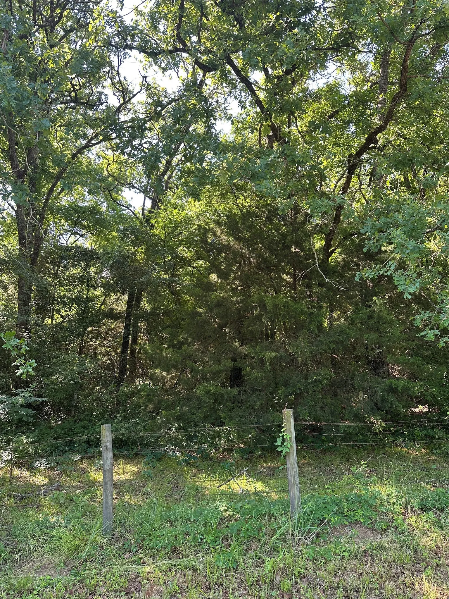 Mature tree line providing natural screening