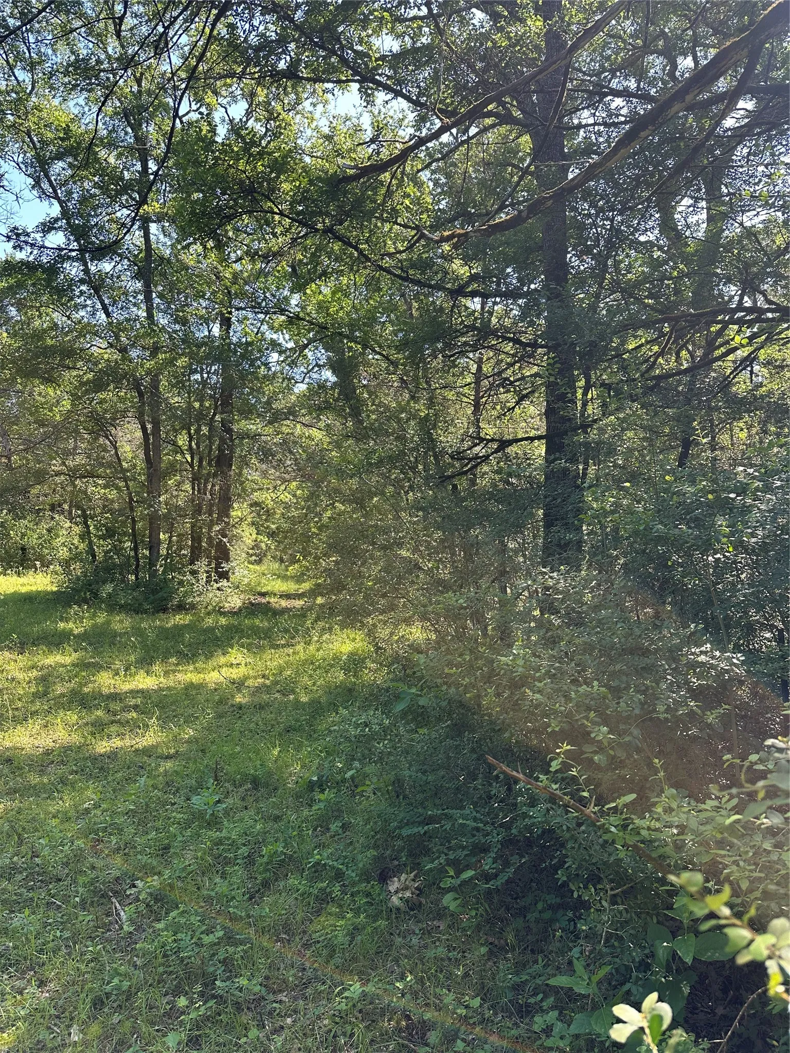 Unimproved Land For Sale in Limestone County , TBD LCR 403, Groesbeck, Texas 76667, 0, 0, Garage spaces, 0 Sqft, built in 0, mls#21390231, Real Estate Agent in Groesbeck, Homes For Sale in Limestone county, Homes For Sale in Groesbeck, Realtor in Groesbeck Texas, Real Estate Brokerage Independent Realty Texas, Luminita Cordes Realtor