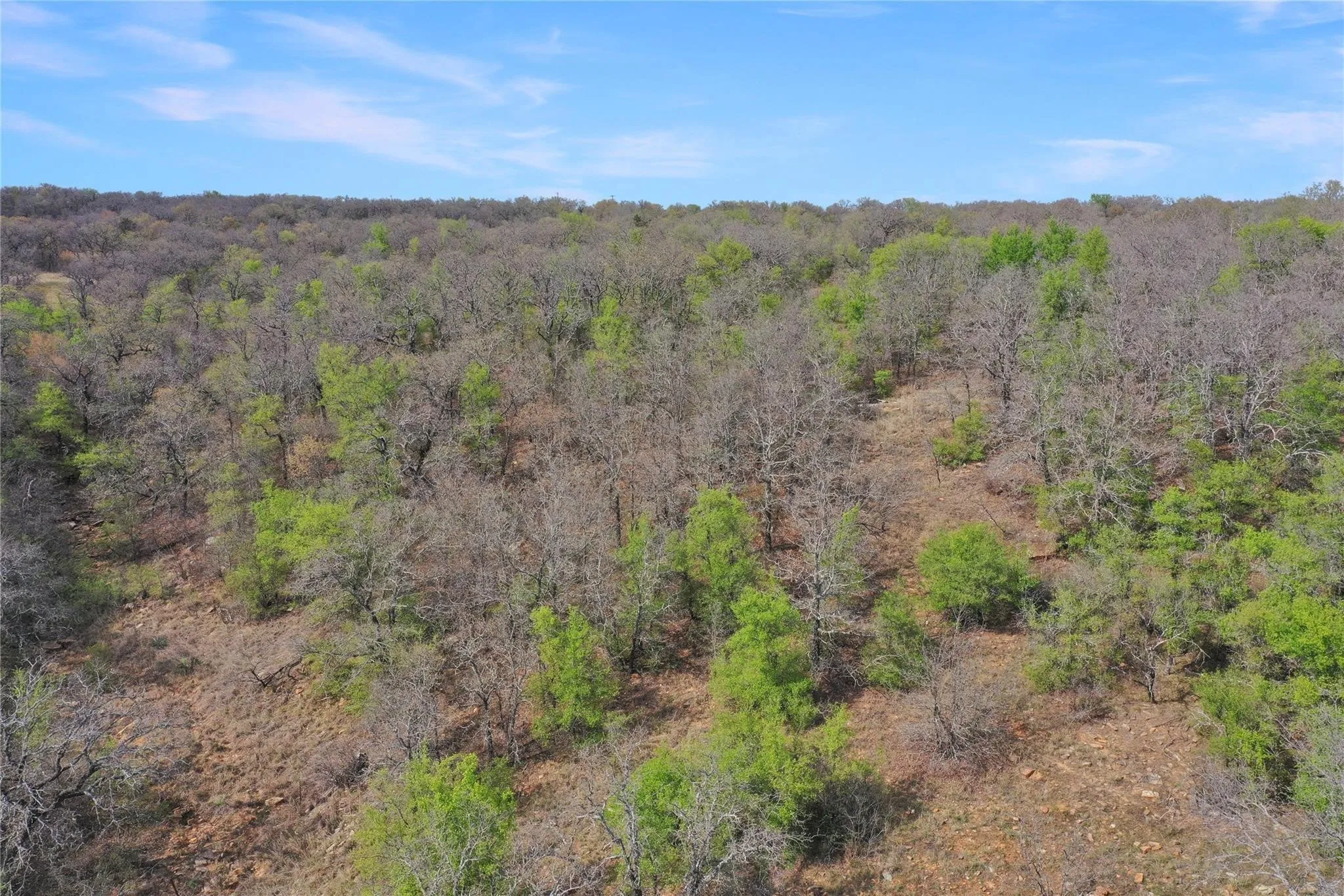 Unimproved Land For Sale in Jack County , TBD Slusher Road, Jacksboro, Texas 76458, 0, 0, Garage spaces, 0 Sqft, built in 0, mls#21387206, Real Estate Agent in Jacksboro, Homes For Sale in Jack county, Homes For Sale in Jacksboro, Realtor in Jacksboro Texas, Real Estate Brokerage Independent Realty Texas, Luminita Cordes Realtor