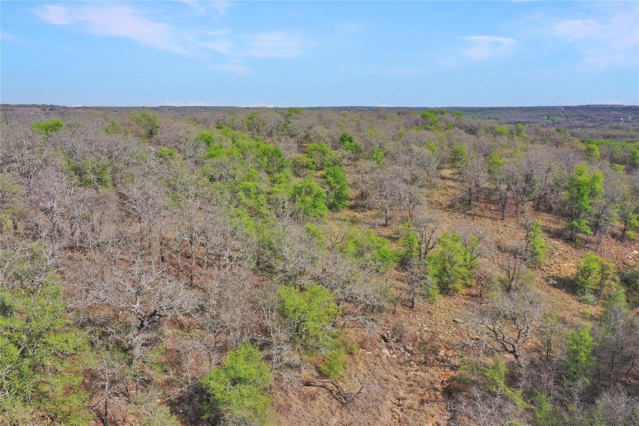 Unimproved Land For Sale in Jack County , TBD Slusher Road, Jacksboro, Texas 76458, 0, 0, Garage spaces, 0 Sqft, built in 0, mls#21387206, Real Estate Agent in Jacksboro, Homes For Sale in Jack county, Homes For Sale in Jacksboro, Realtor in Jacksboro Texas, Real Estate Brokerage Independent Realty Texas, Luminita Cordes Realtor