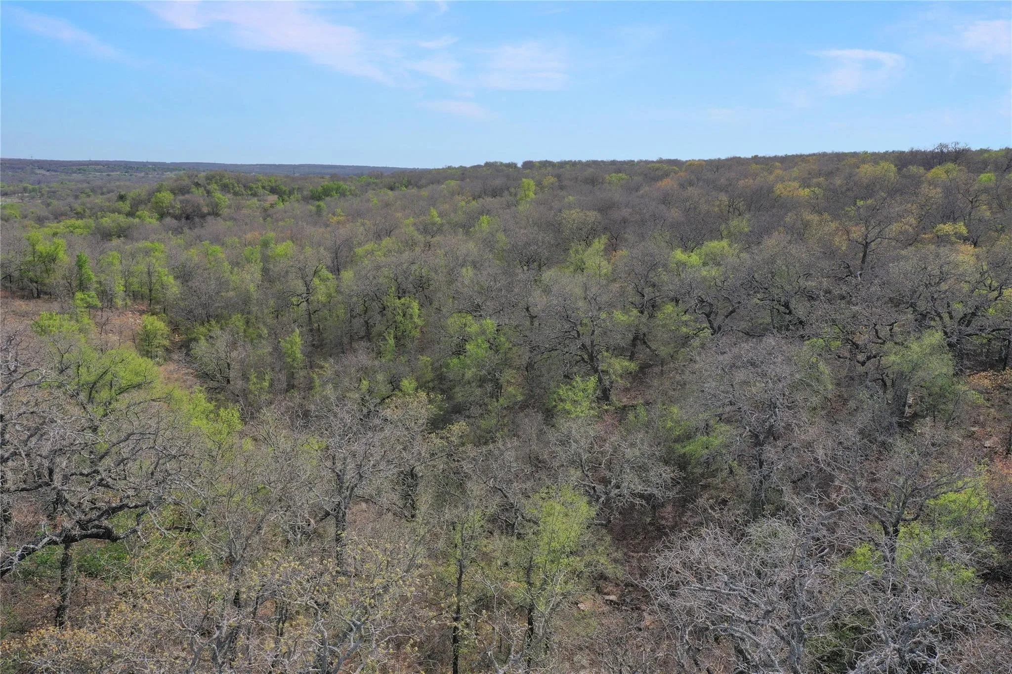 Unimproved Land For Sale in Jack County , TBD Slusher Road, Jacksboro, Texas 76458, 0, 0, Garage spaces, 0 Sqft, built in 0, mls#21387206, Real Estate Agent in Jacksboro, Homes For Sale in Jack county, Homes For Sale in Jacksboro, Realtor in Jacksboro Texas, Real Estate Brokerage Independent Realty Texas, Luminita Cordes Realtor