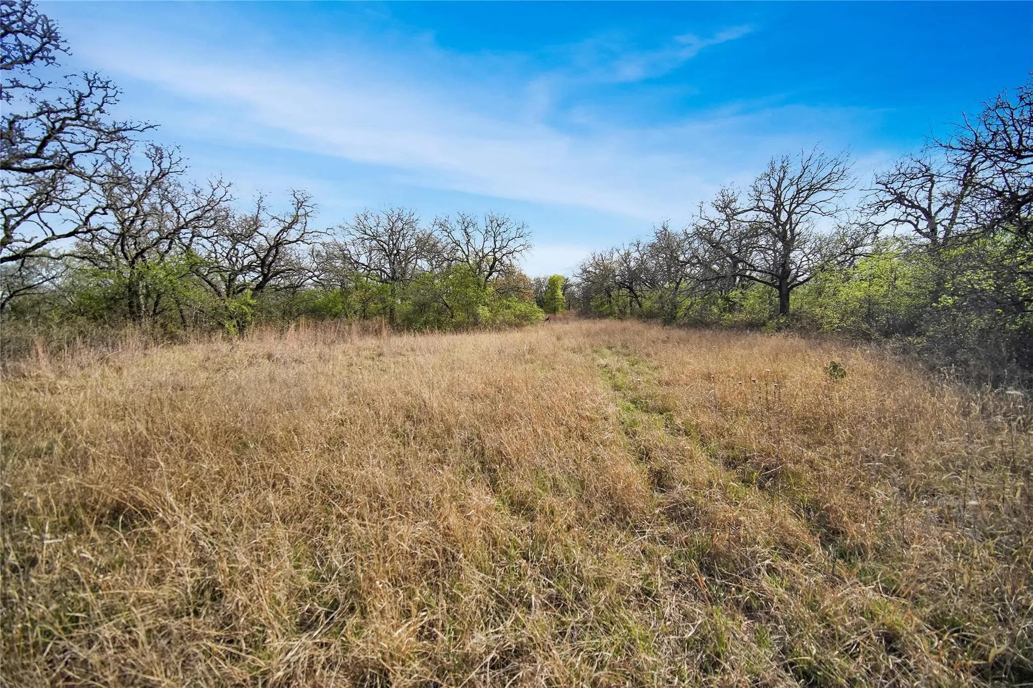 Unimproved Land For Sale in Jack County , TBD Slusher Road, Jacksboro, Texas 76458, 0, 0, Garage spaces, 0 Sqft, built in 0, mls#21387206, Real Estate Agent in Jacksboro, Homes For Sale in Jack county, Homes For Sale in Jacksboro, Realtor in Jacksboro Texas, Real Estate Brokerage Independent Realty Texas, Luminita Cordes Realtor