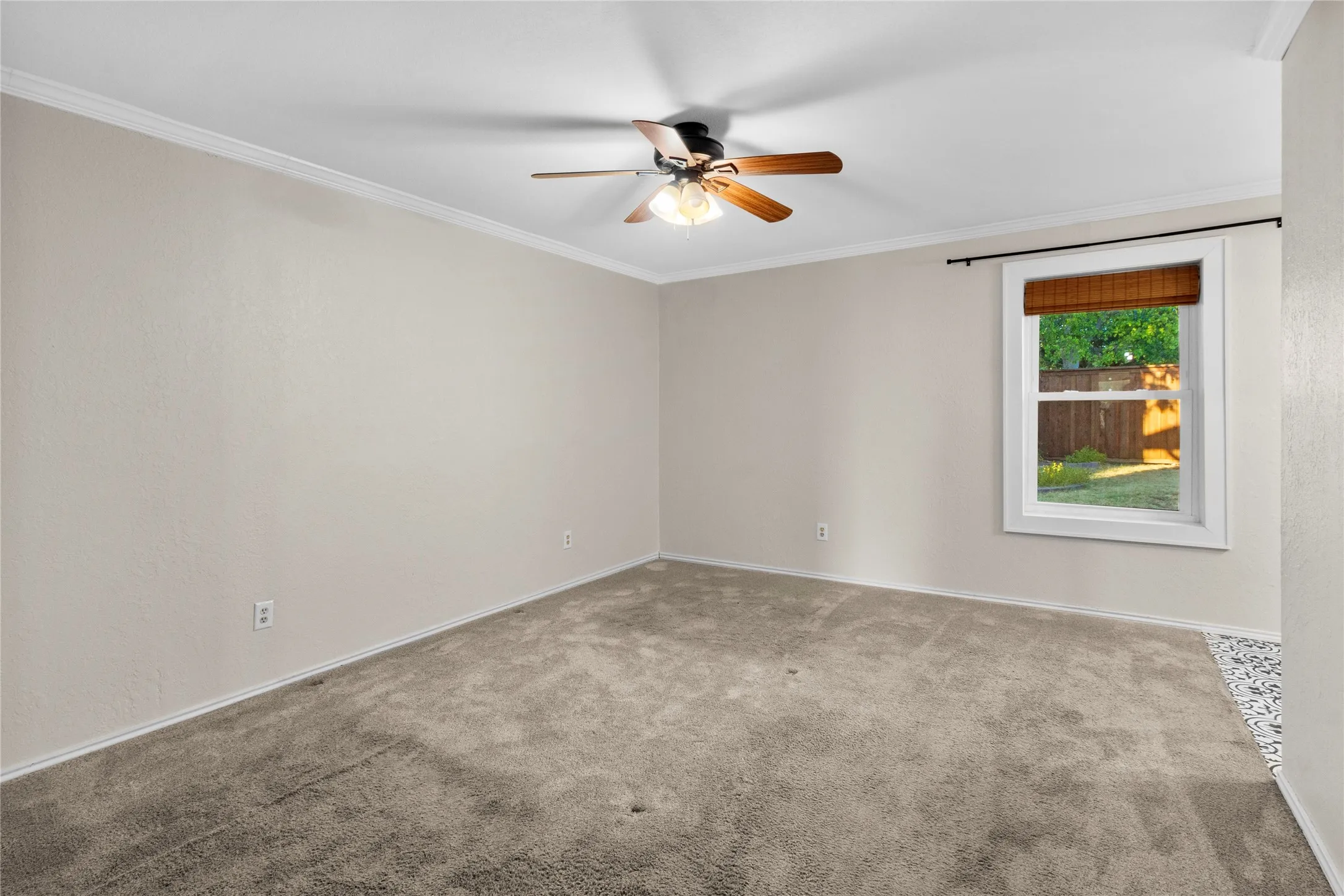 Carpeted room featuring a ceiling fan with light fixture, crown molding, and a window with wood blinds