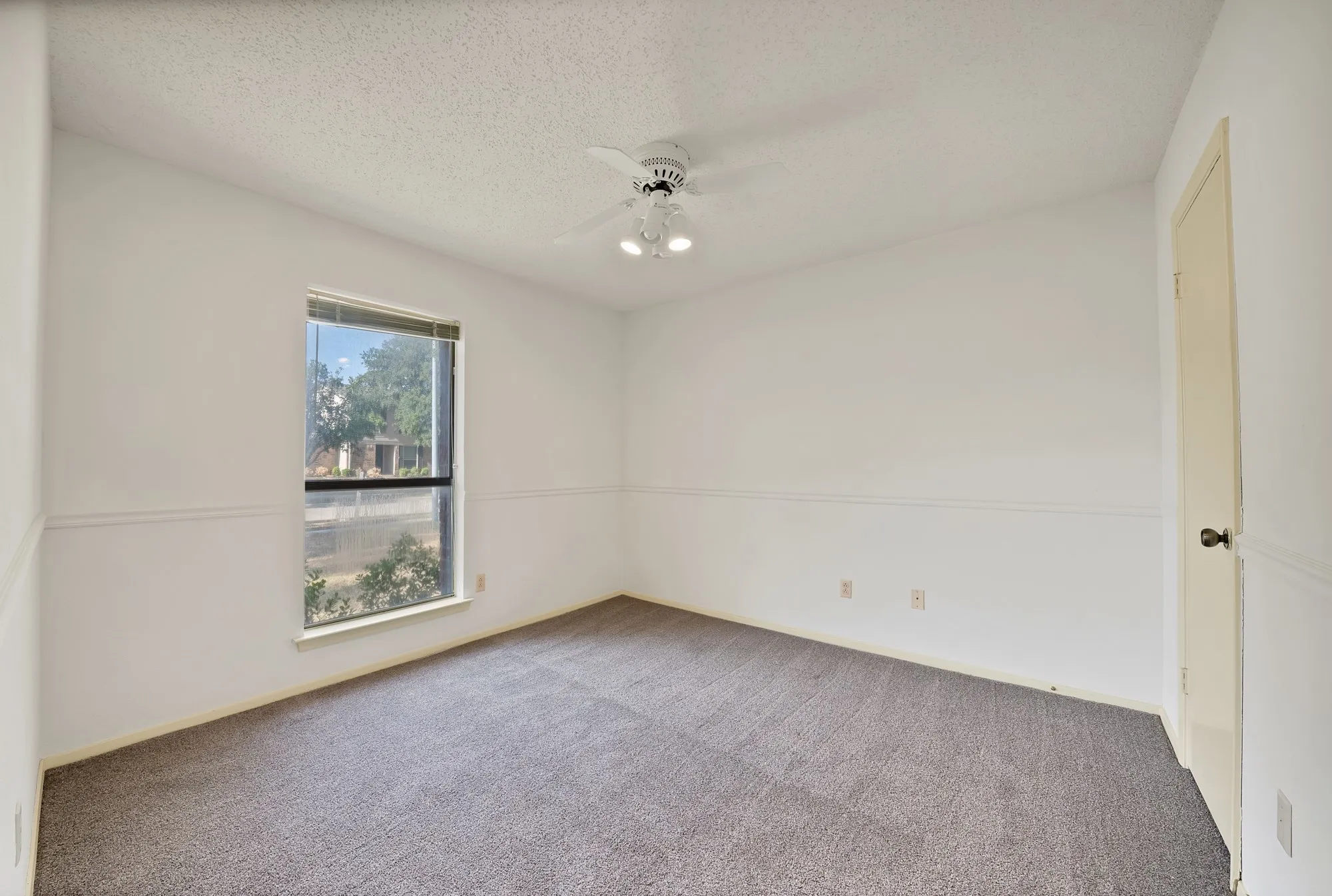 Room featuring neutral carpet flooring, white walls with chair rail molding, a single window, and a ceiling fan with integrated lighting