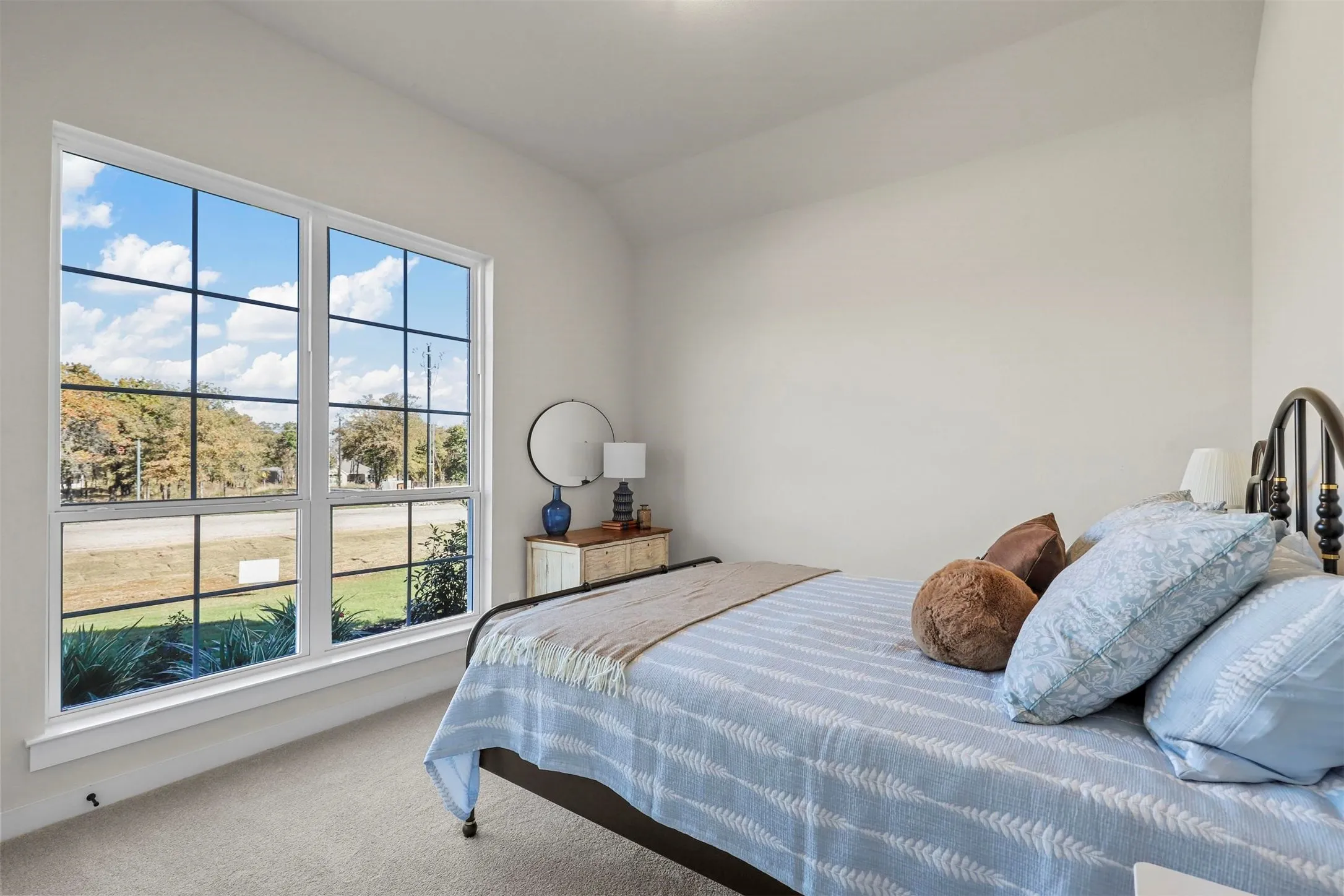 Large multi-pane window, light-toned walls, and soft carpet flooring