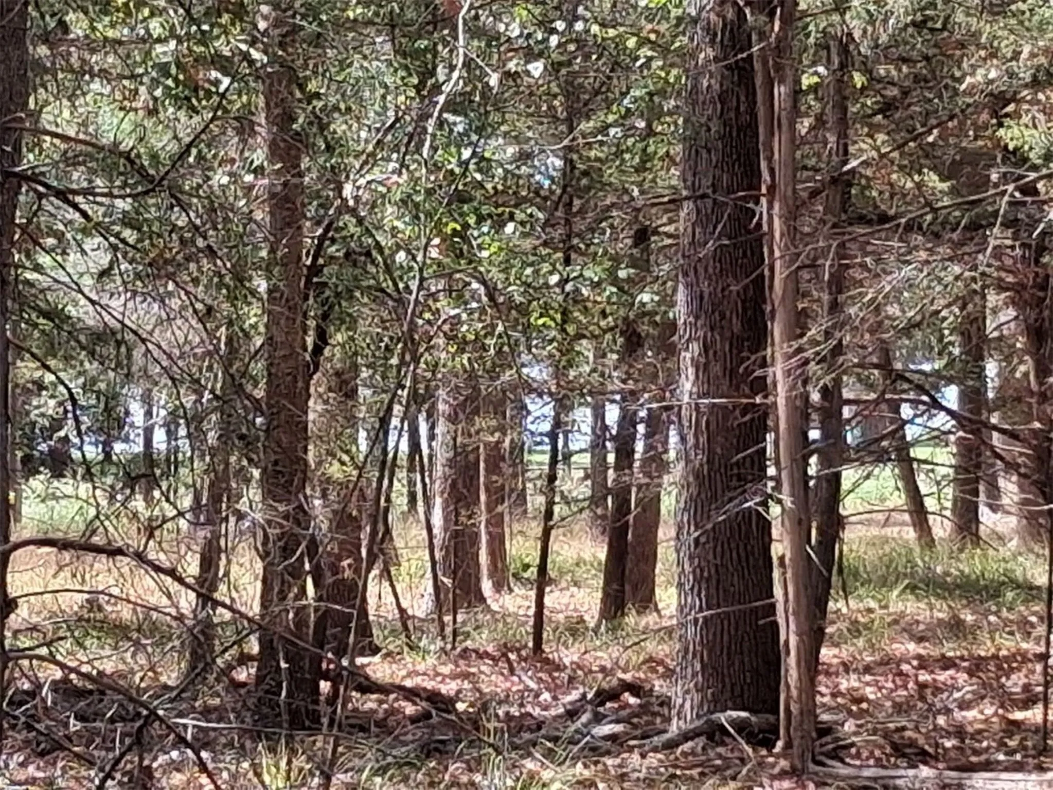 Unimproved Land For Sale in Van Zandt County , tbd Hideaway, Murchison, Texas 75778, 0, 0, Garage spaces, 0 Sqft, built in 0, mls#21390083, Real Estate Agent in Murchison, Homes For Sale in Van Zandt county, Homes For Sale in Murchison, Realtor in Murchison Texas, Real Estate Brokerage Independent Realty Texas, Luminita Cordes Realtor